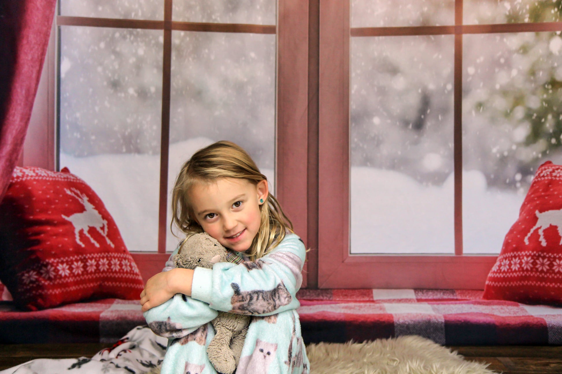 Christmas Snow And Sunshine Outside Window Backdrops for Photography DBD-H19155