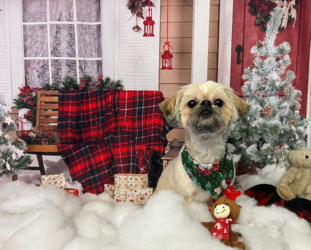 Cotton Christmas Decoration House Box Gift Backdrop DBD-H19184