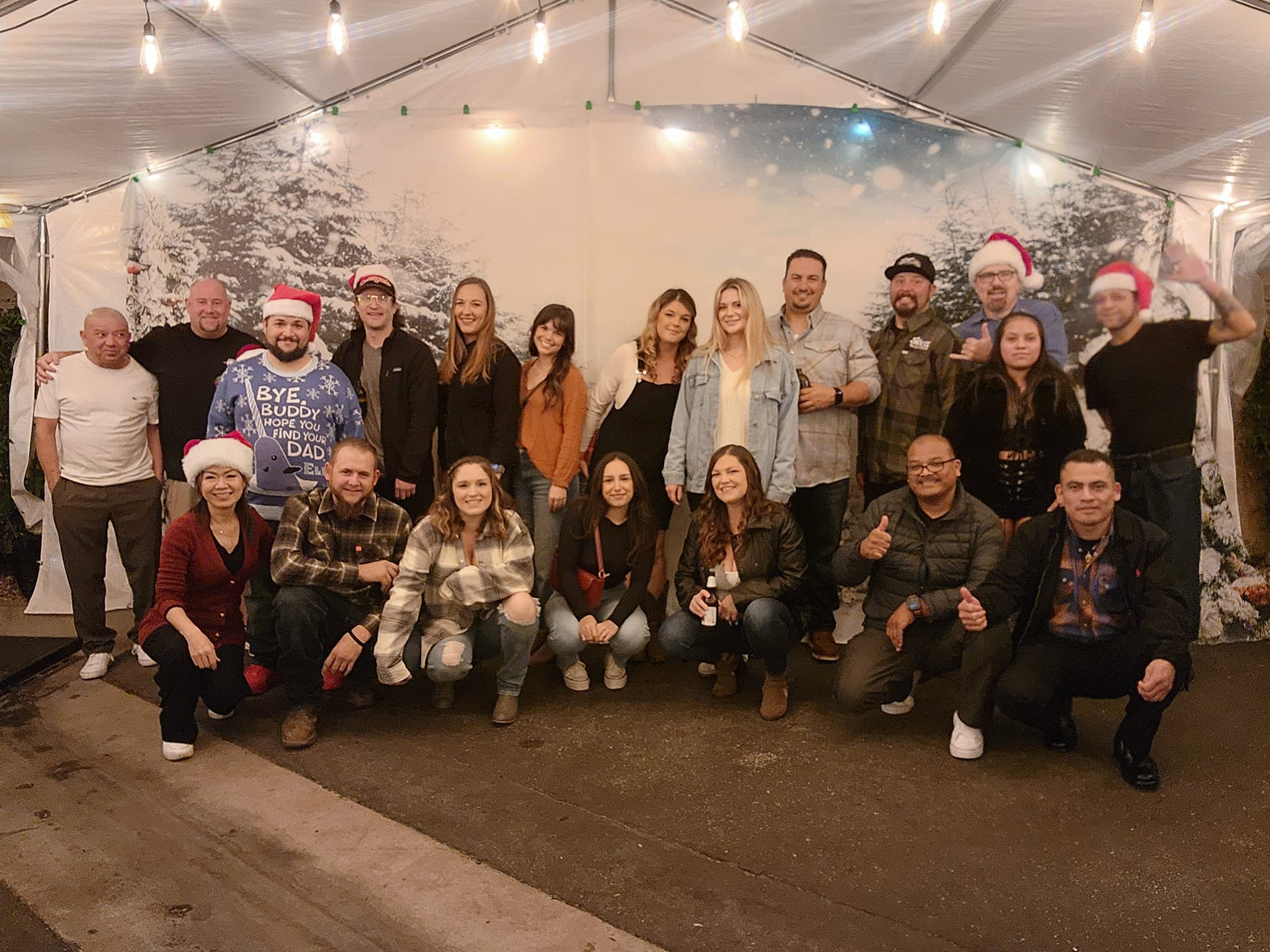 Christmas Tree Winter Forest Snowflake Backdrop M11-28