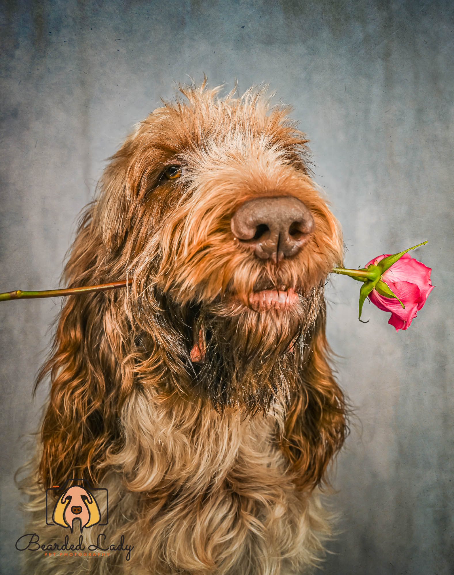Abstract Blurry Light Blue Texture Backdrop for Photography DHP-206
