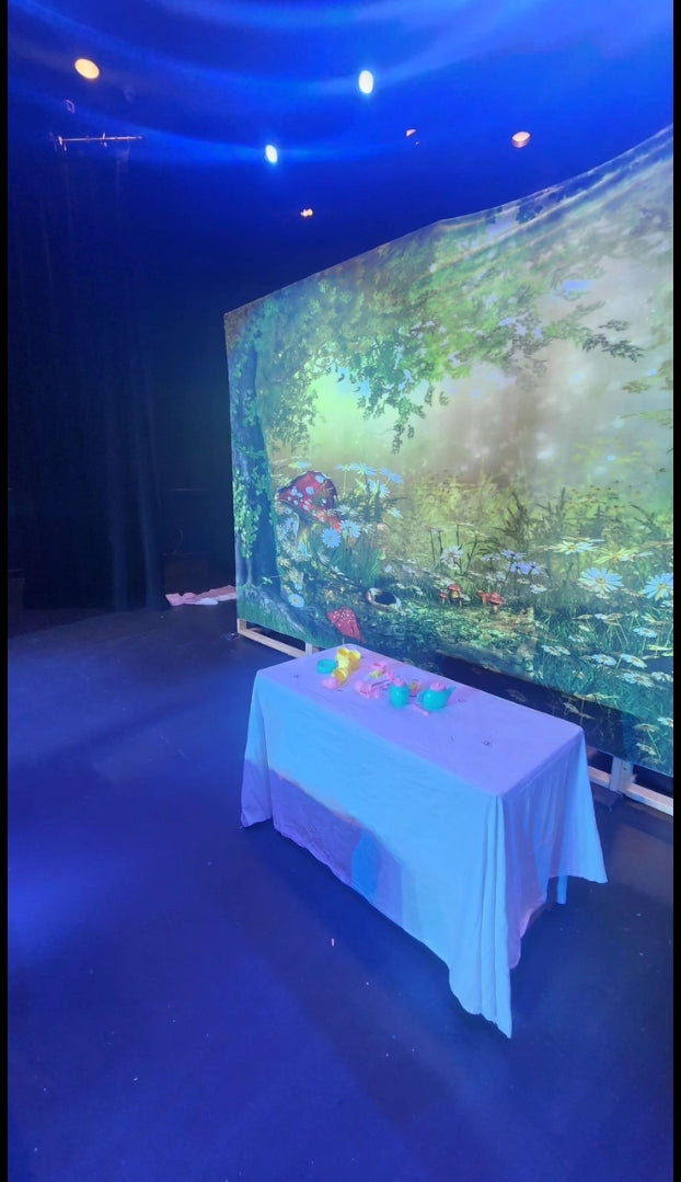 Fairy Tale Wonderland Forest Mushrooms Backdrop M6-126