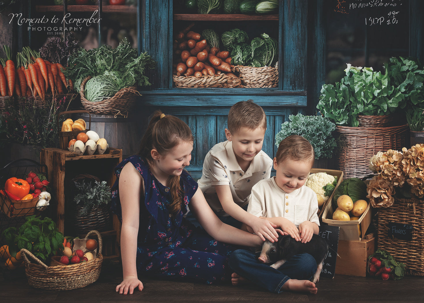 Spring Photography Backdrop Rustic Grocer Farm Window Backdrop LXX1-153