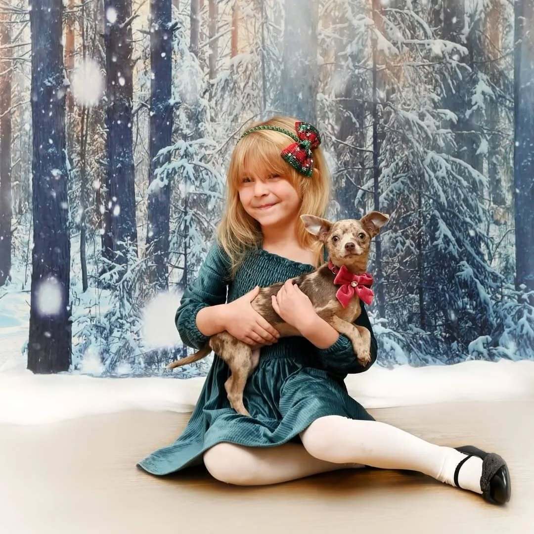 Beautiful Forest Snow Scene Christmas Backdrops GX-1069