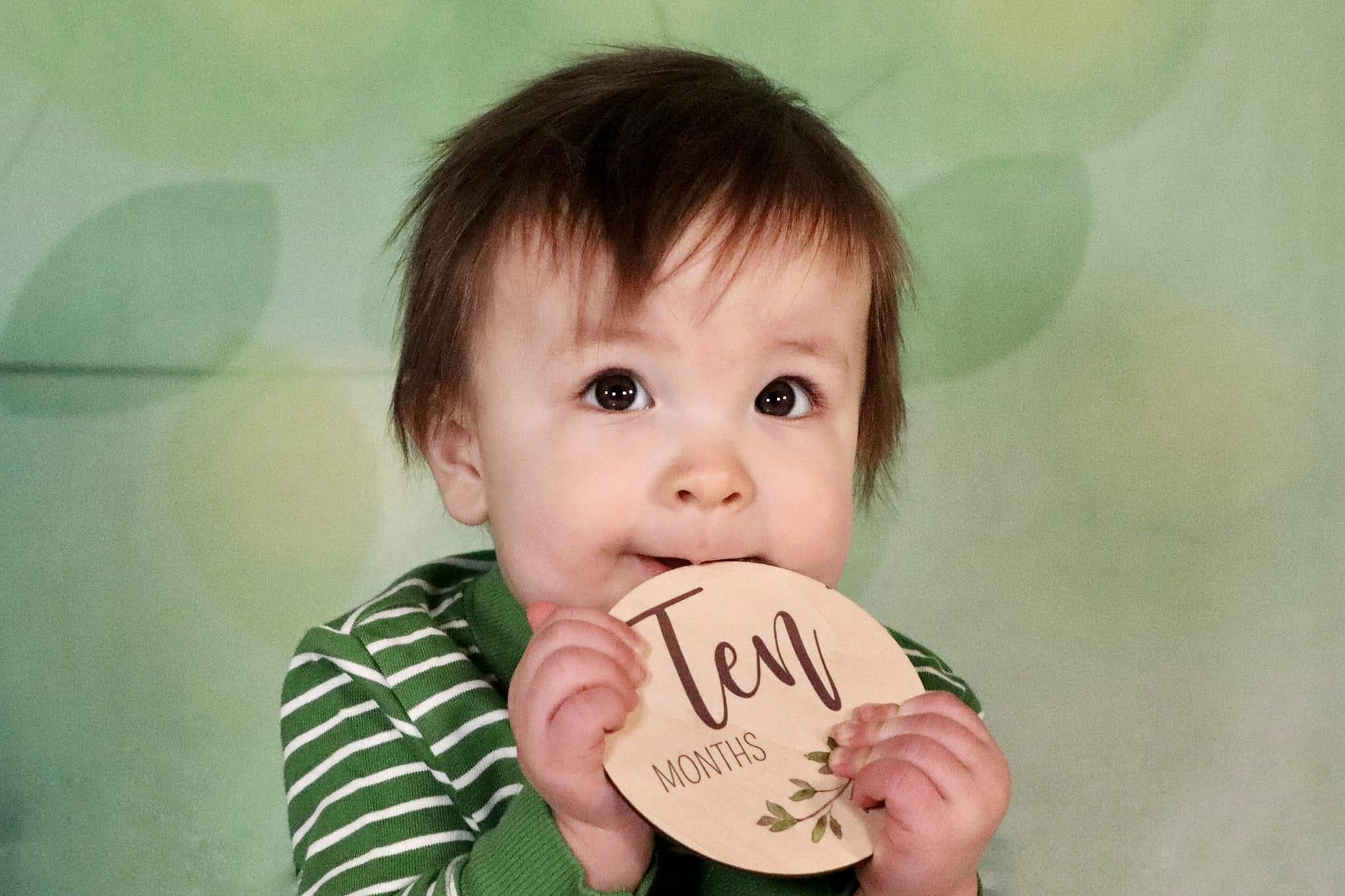 Spring Green Leaves Photography Backdrop LV-1926