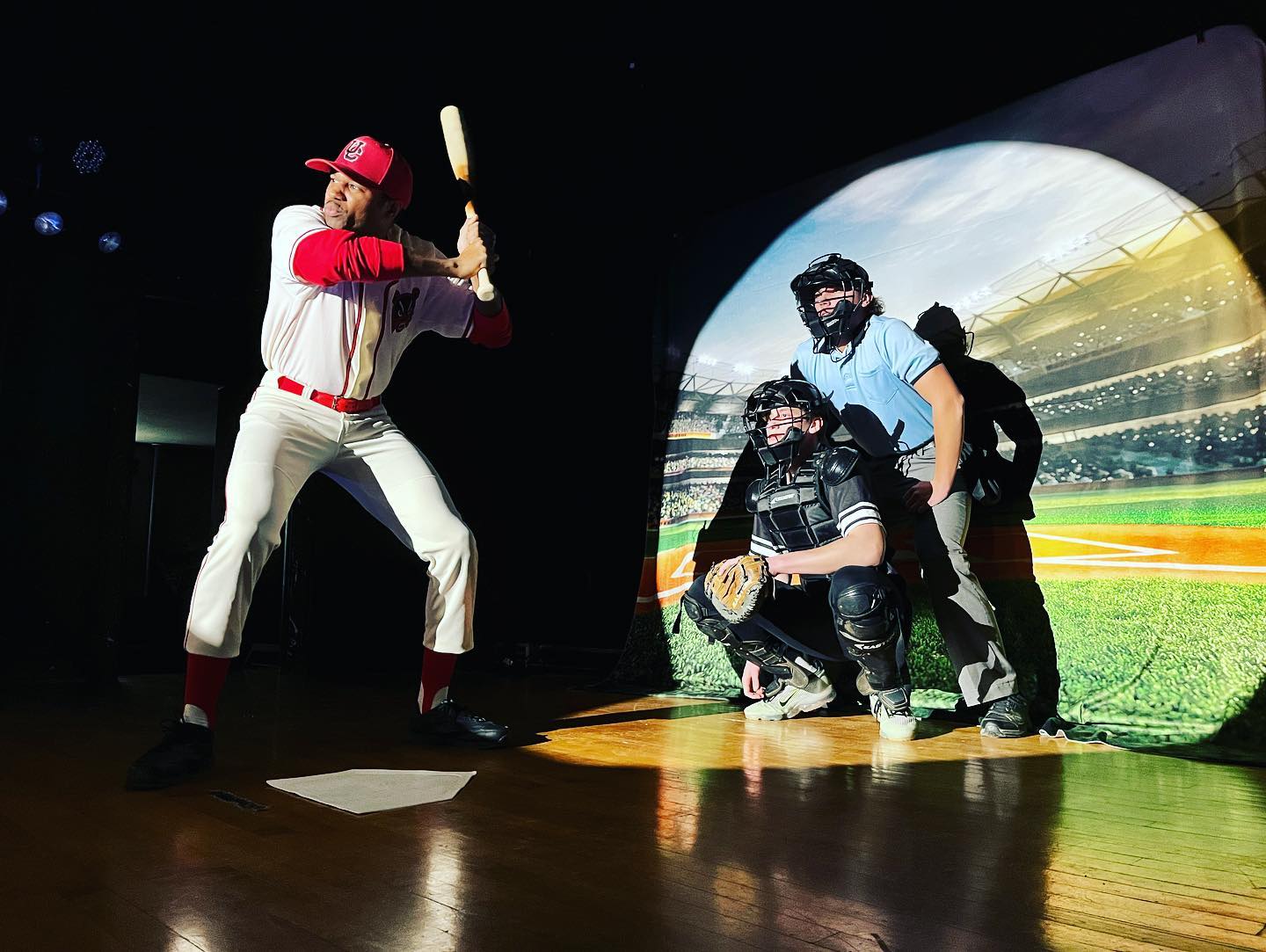 Baseball Field Green Photo Booth Backdrop G-311