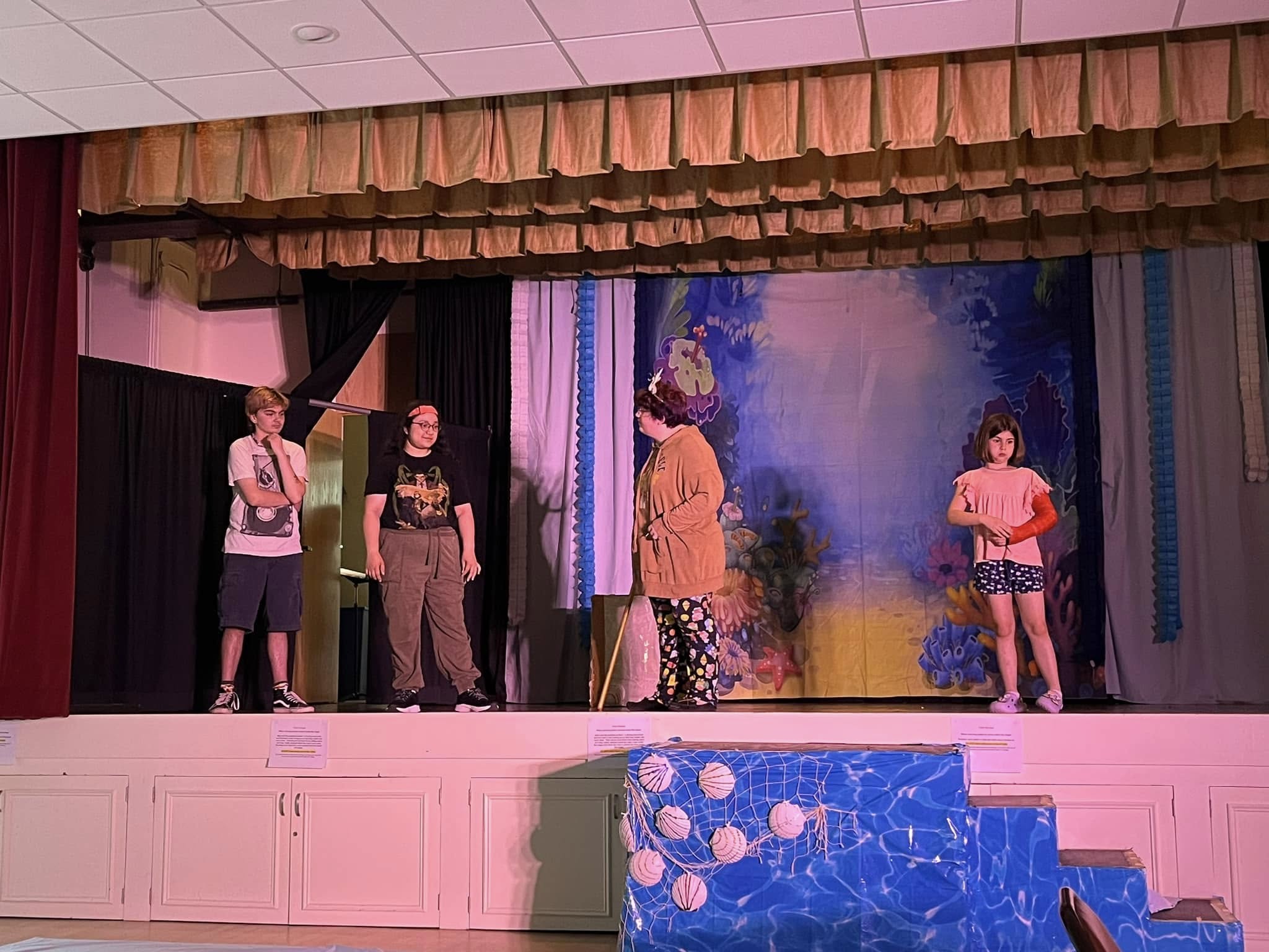 Under The Sea  Coral Ocean Baby Photo Backdrop G-498