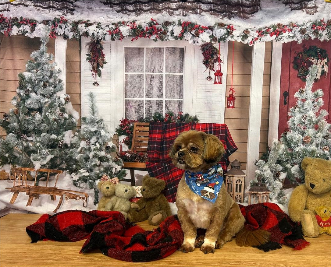 Cotton Christmas Decoration House Box Gift Backdrop DBD-H19184