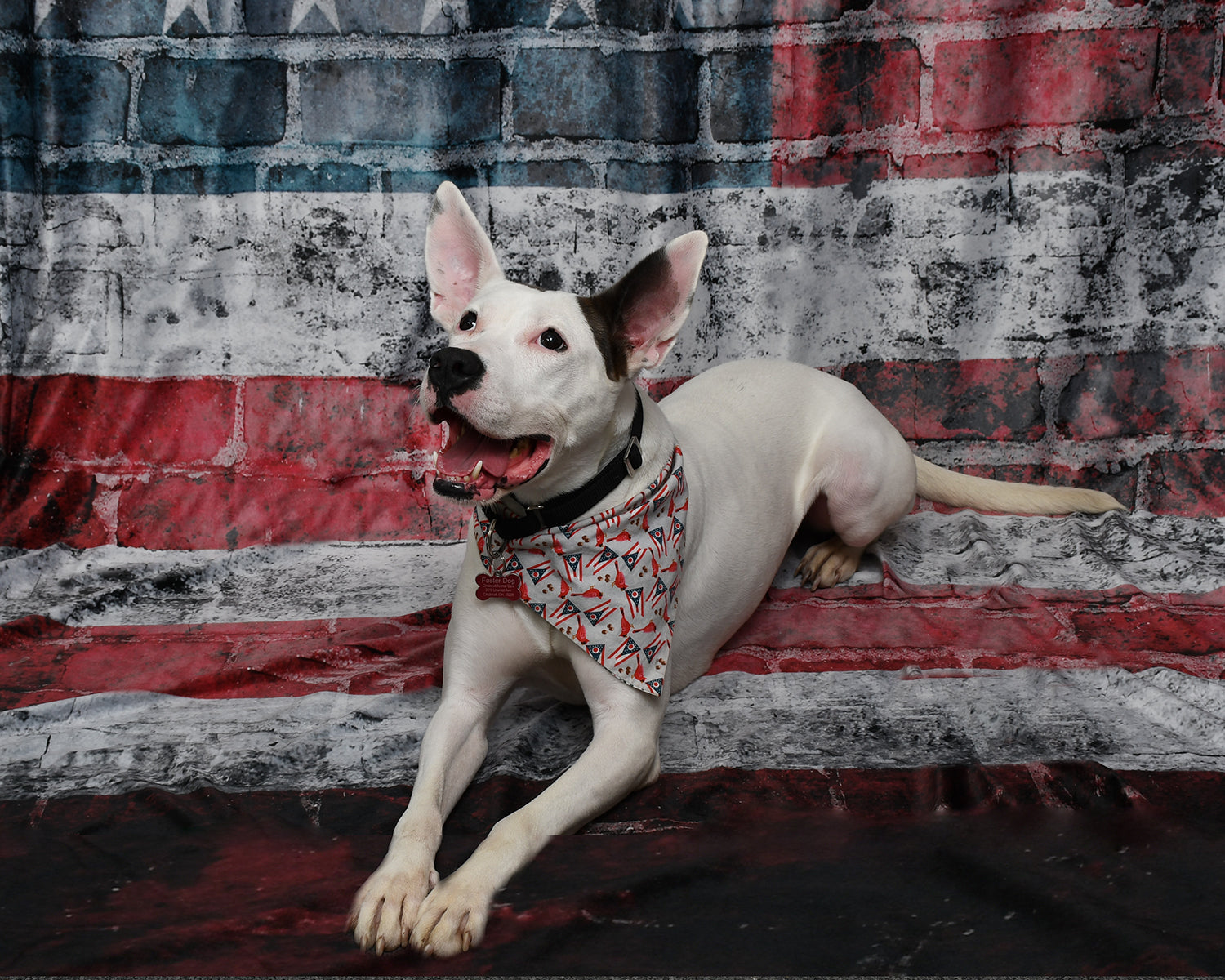 American Flag Independence Day Brick Wall Backdrop M-21