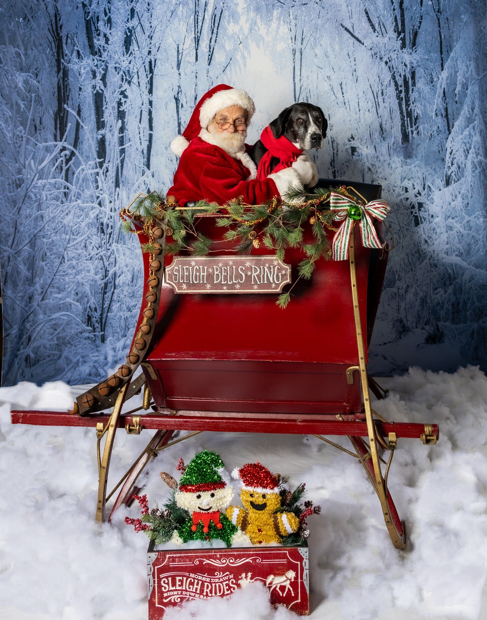 Frozen Forest Snowy Road Winter Frost Backdrop for Photo Shots MA-15