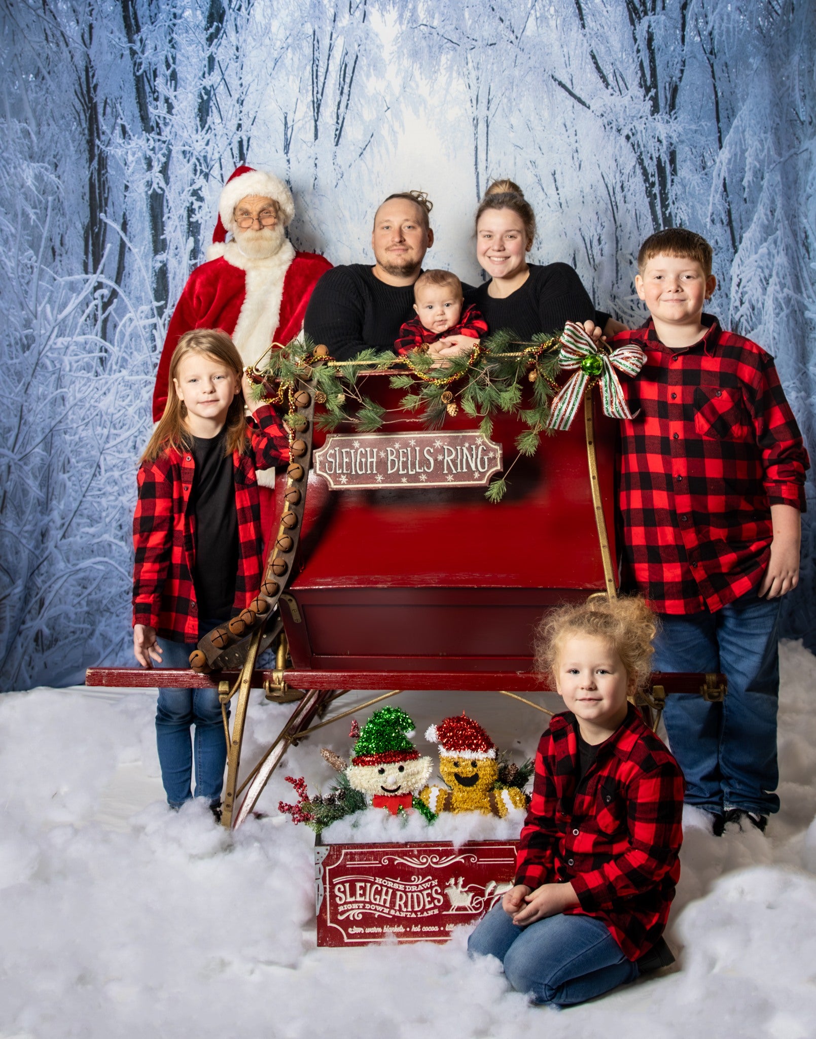 Frozen Forest Snowy Road Winter Frost Backdrop for Photo Shots MA-15
