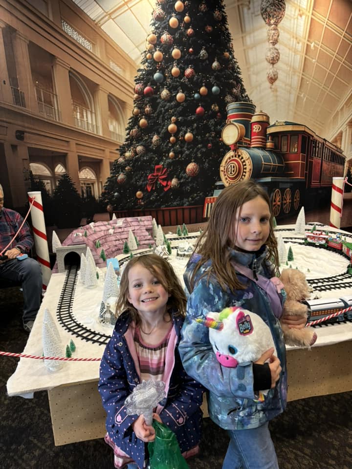 Big Christmas Tree Little Train Backdrop M8-68