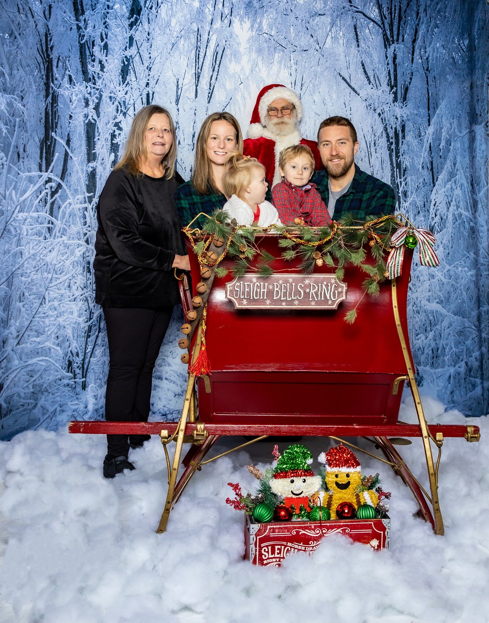 Frozen Forest Snowy Road Winter Frost Backdrop for Photo Shots MA-15