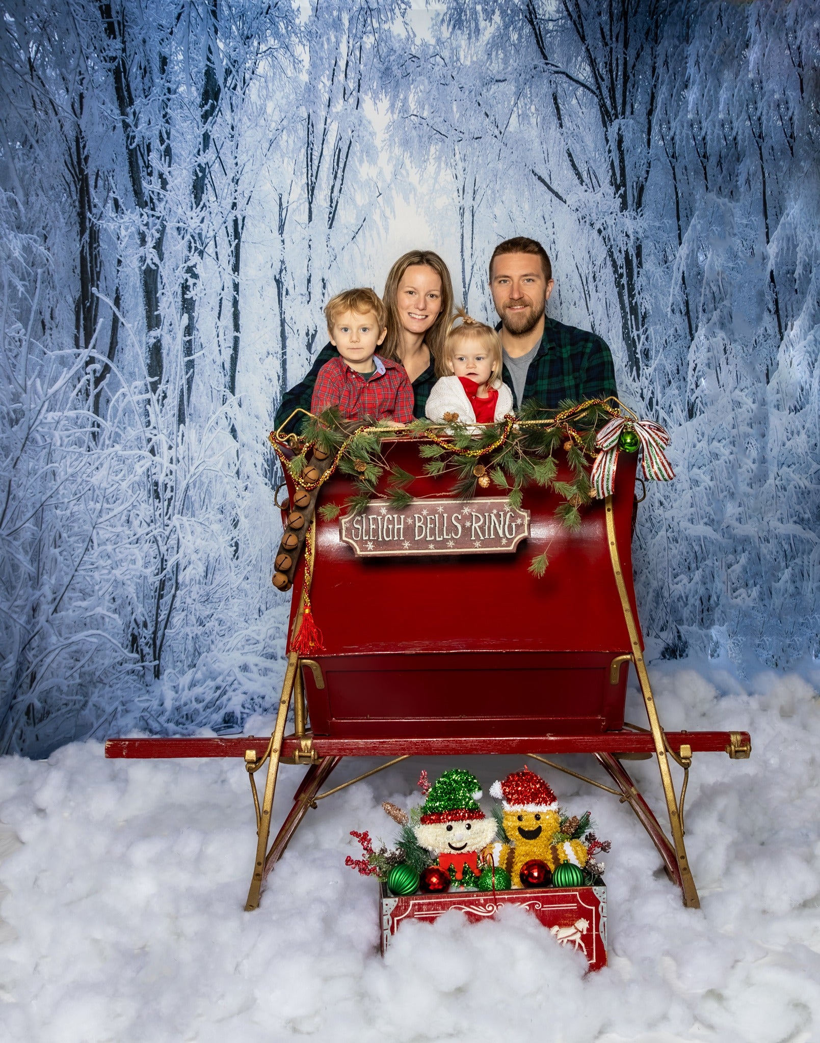 Frozen Forest Snowy Road Winter Frost Backdrop for Photo Shots MA-15