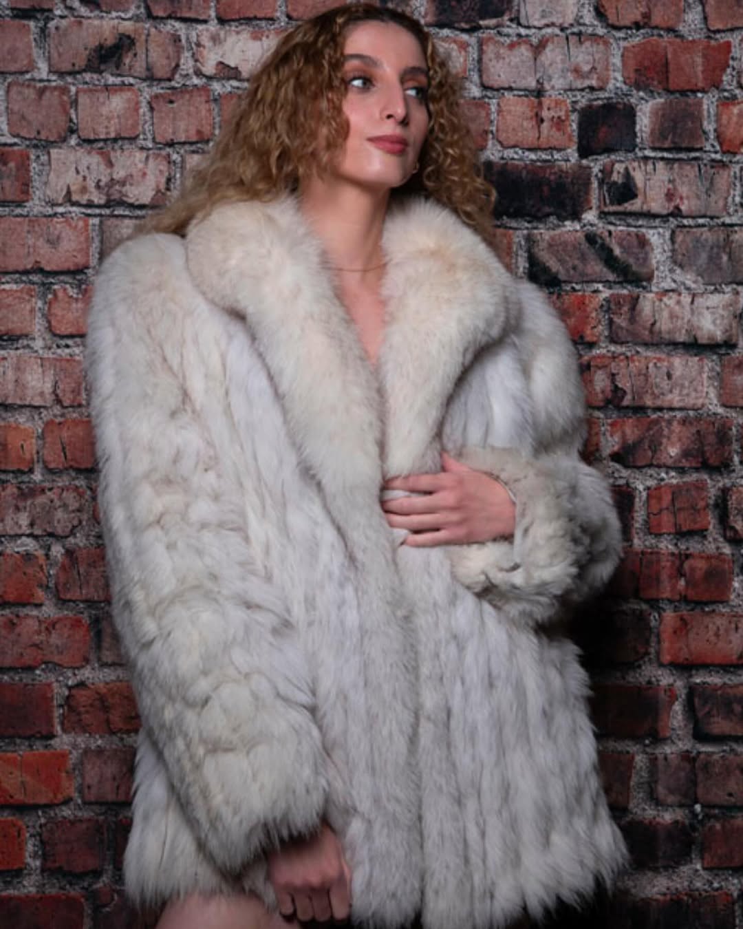 Grunge Brick Wall Photography Studio Backdrop KAT-191