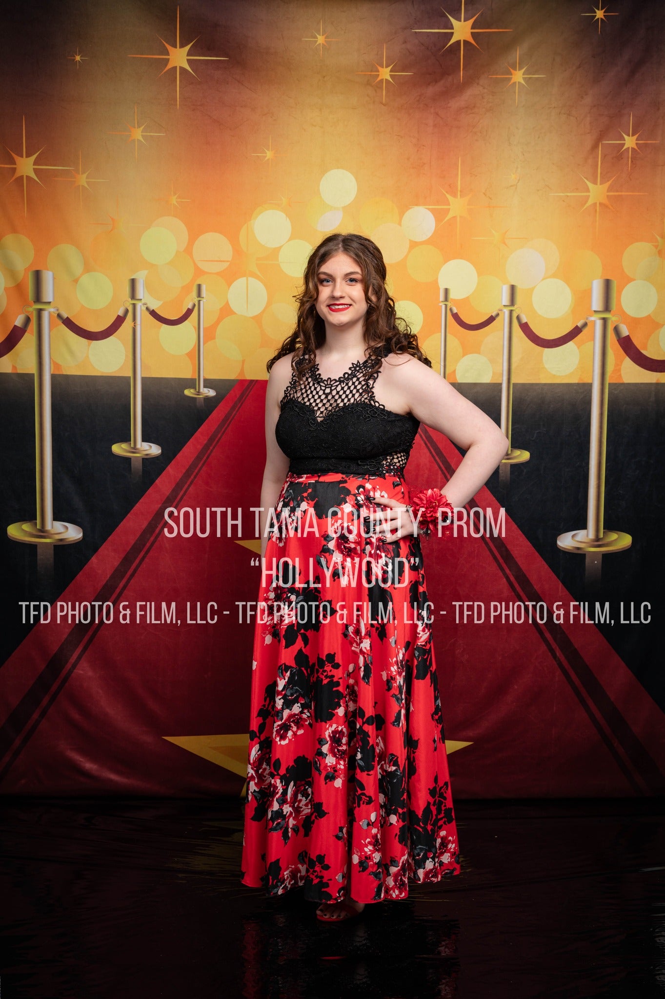 Hollywood Red Carpet Gold Lights Backdrops for Photography LV-287