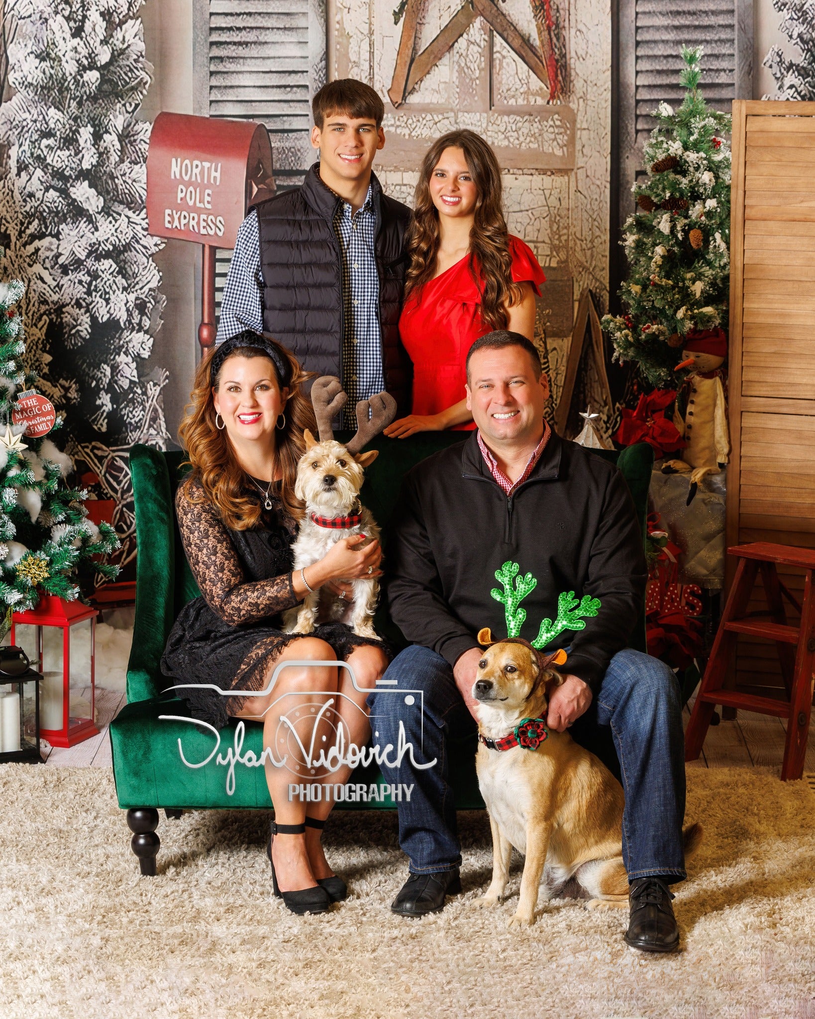 Christmas Trees Red Postbox Christmas Backdrops Decorated House Background GX-1033