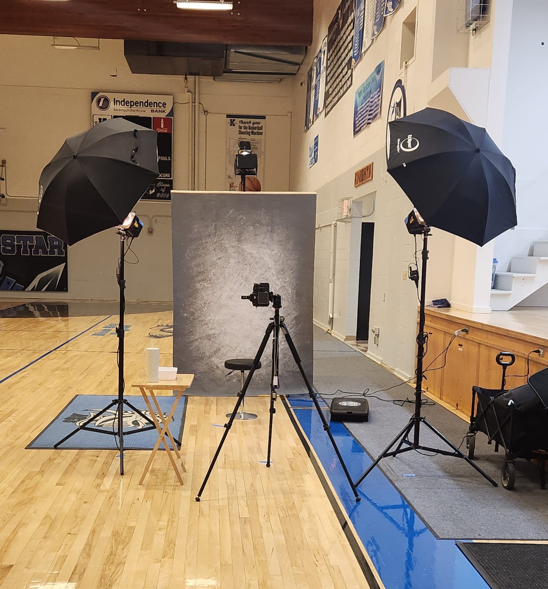 Abstract Texture Grey Backdrop for Photographers  LV-773