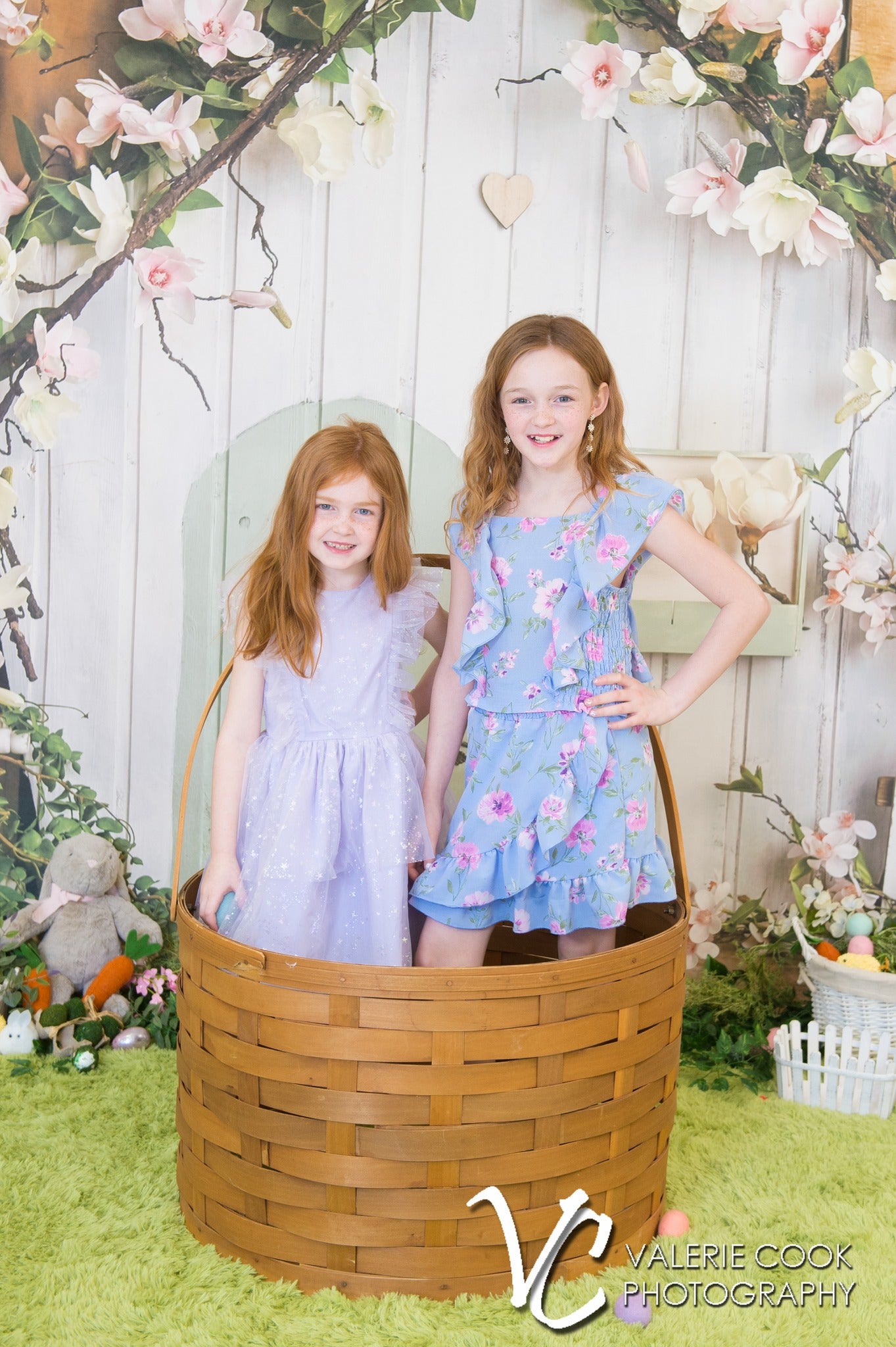 Pink Flowers Rustic House Spring Backdrop D1055