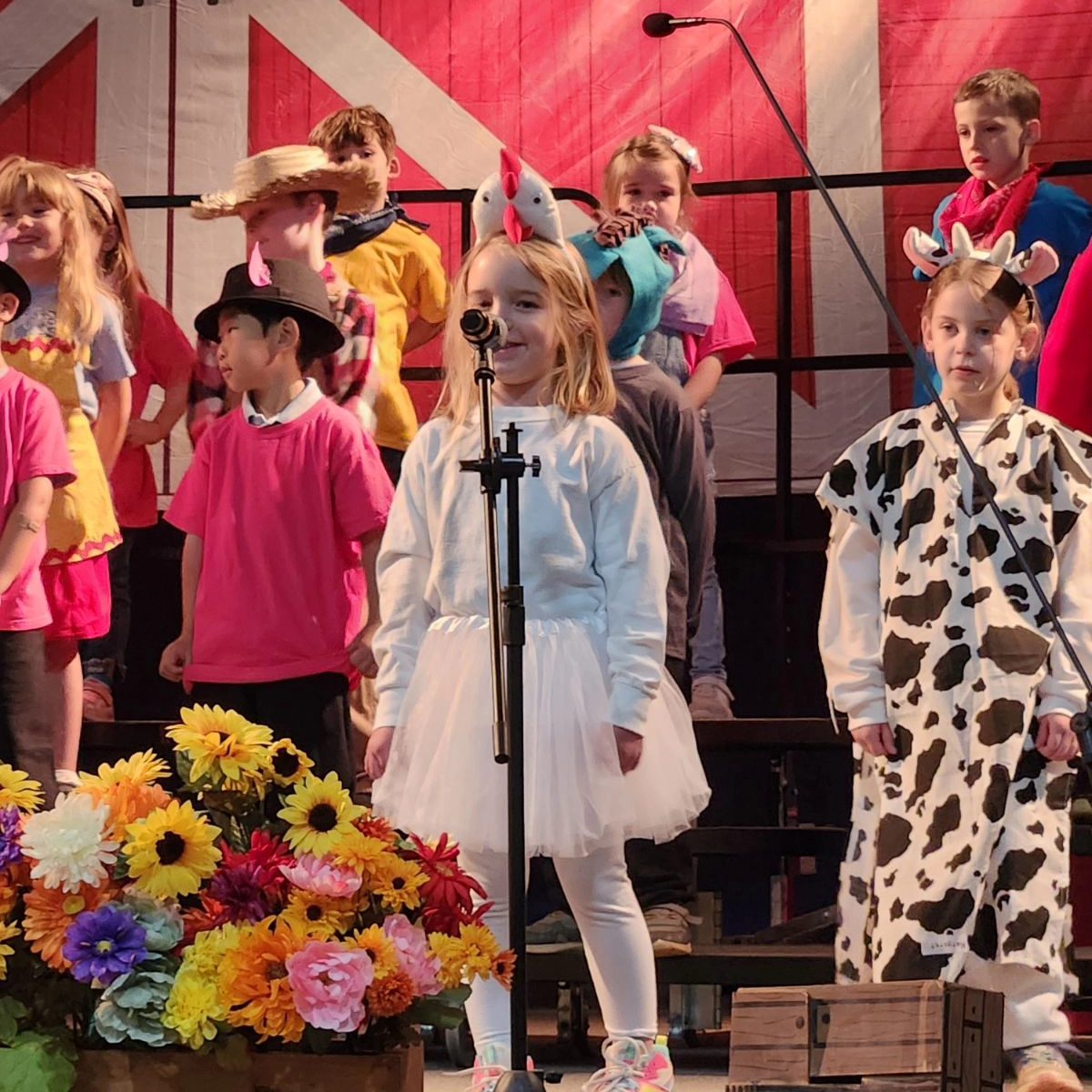 Red Barn Door Photography Backdrop SH-953