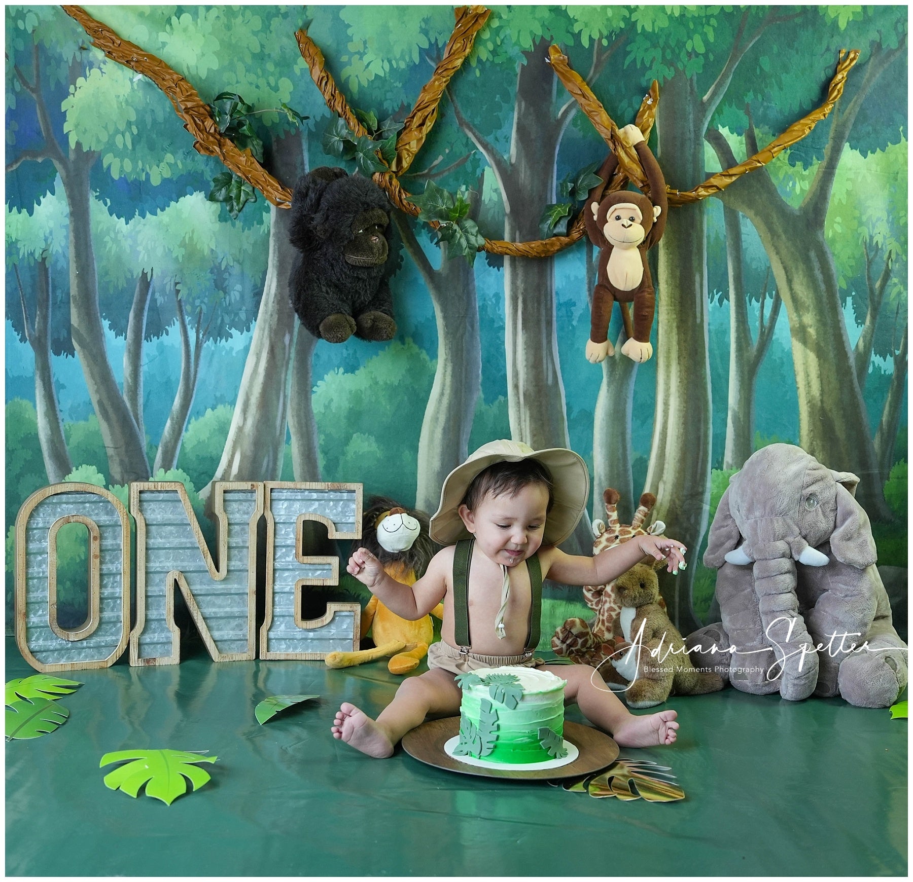 Newborn Backdrop Enchanted Forest Trees Kids Photo Backdrop MRR10-24