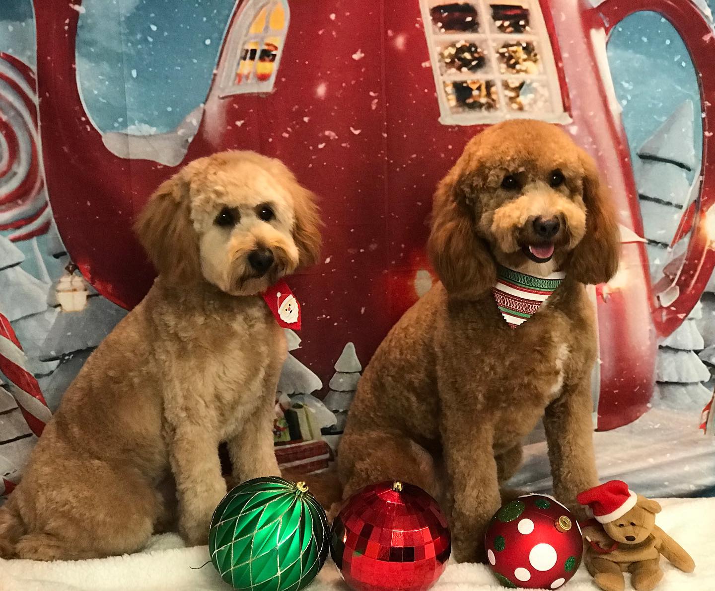 Christmas Night Tea House Snow Photo Shoot Backdrop  LV-983