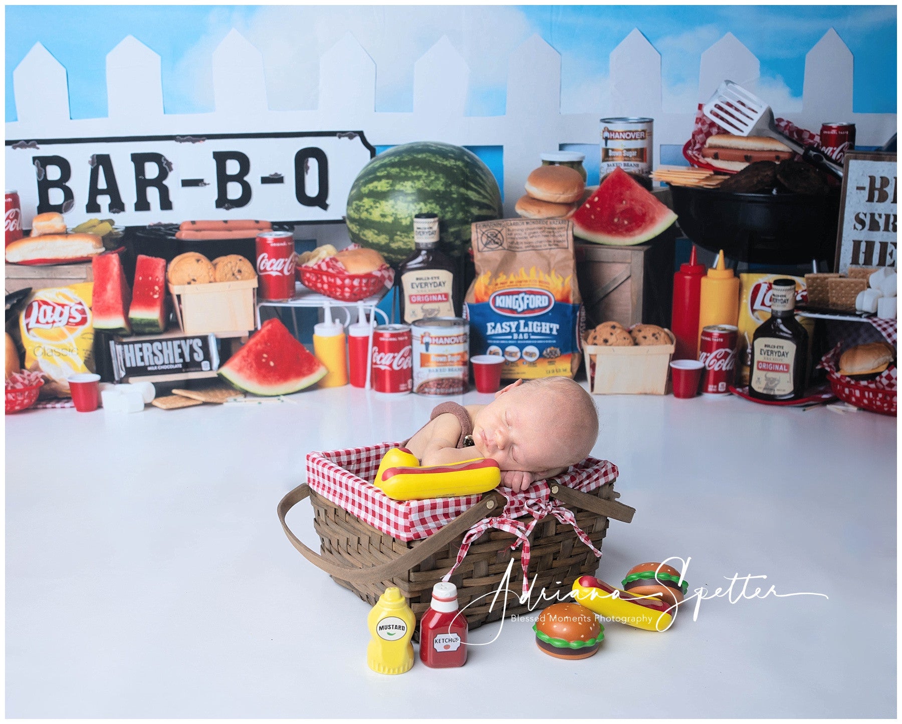 Newborn Backdrop BBQ Party Fairy Lights Children Backdrops MRR10-22