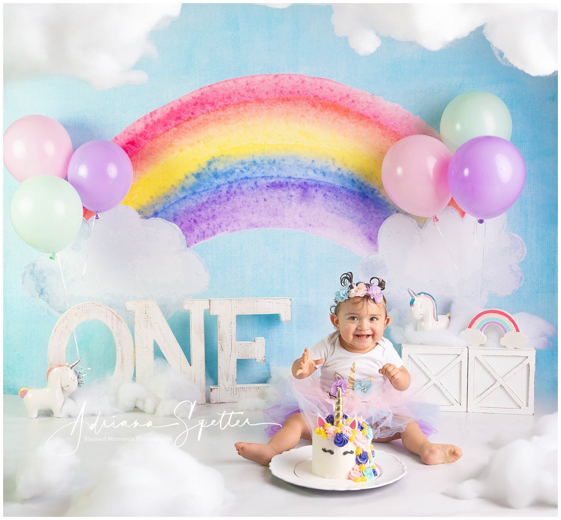 Smash Cake Backdrop Colorful Rainbow Sky Birthday Backdrops MRR10-18