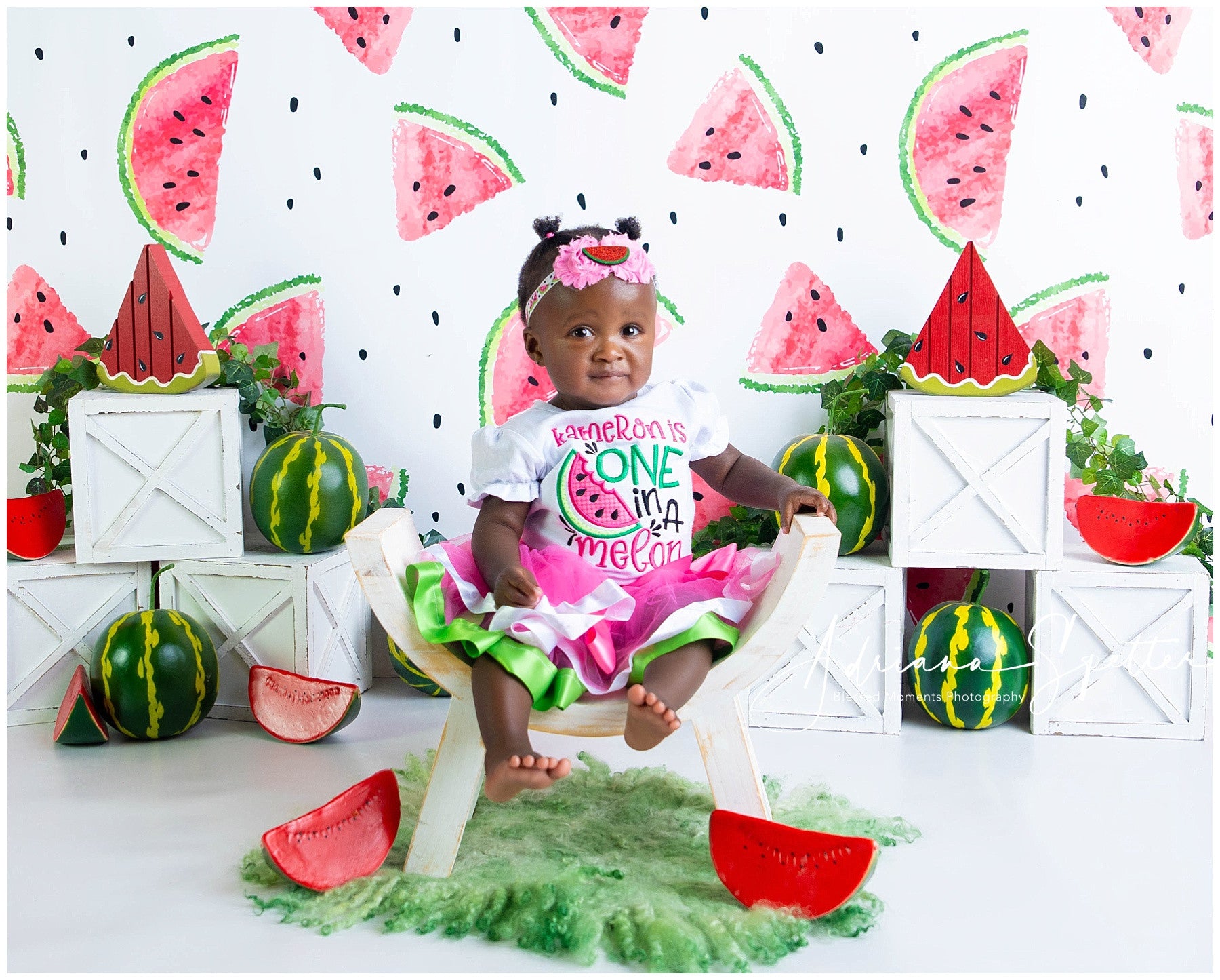Cake Smash Backdrop Watermelon Pattern Summer Birthday Backdrop MRR10-19