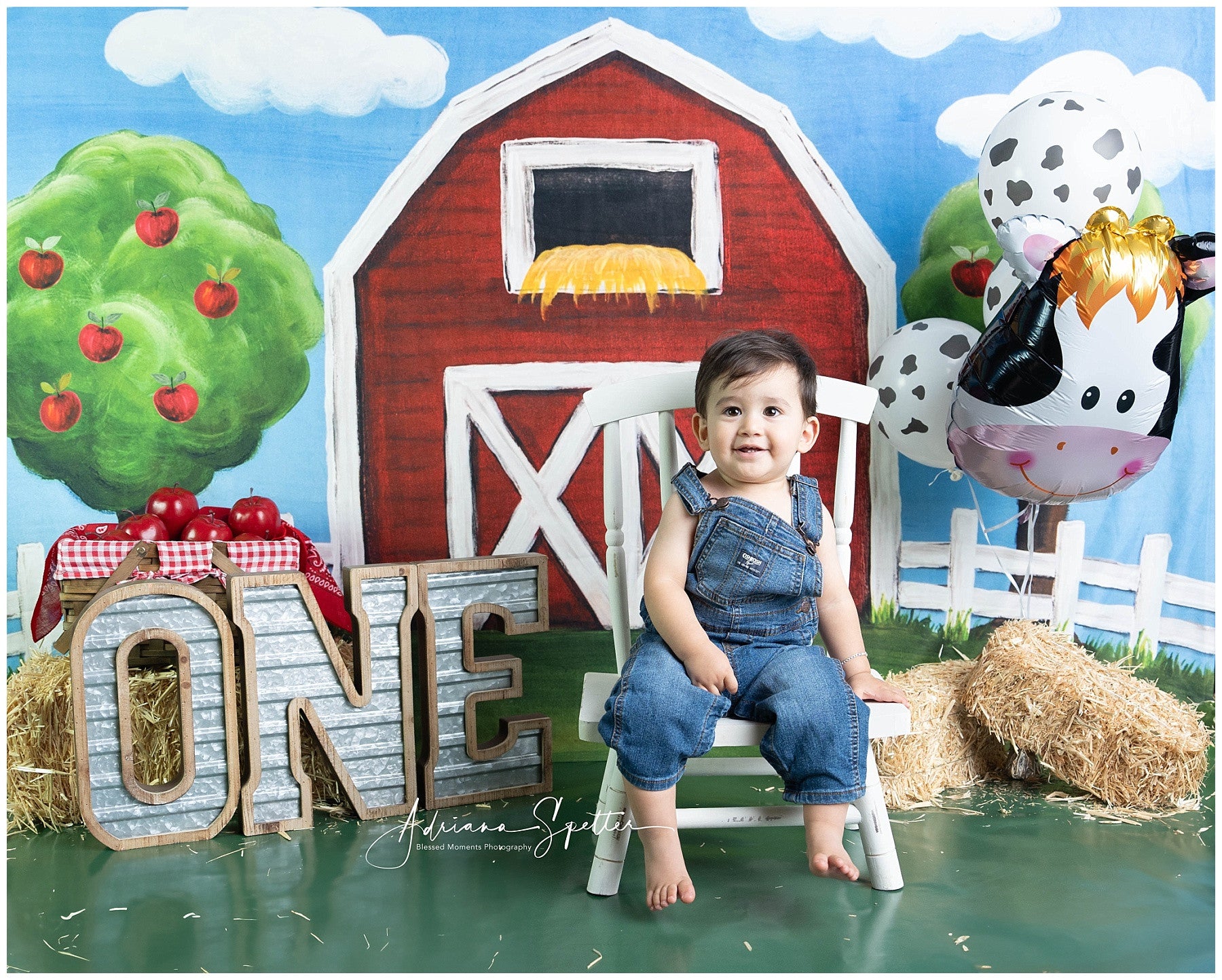 Cake Smash Backdrops Red Barn Apple Trees Birthday Photo Backdrop MRR10-17