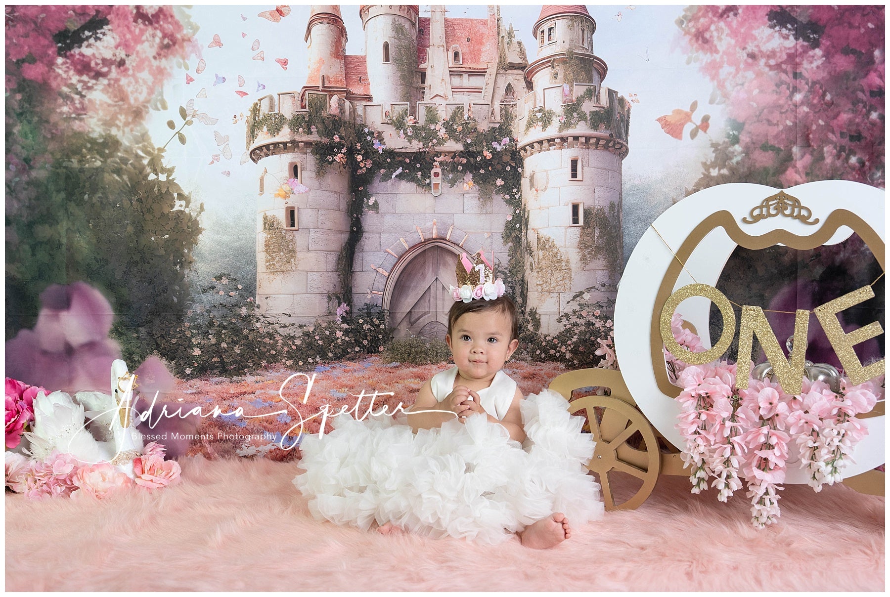 Castle Backdrop Fairy Tale Butterfly Castle Newborn Backdrop MRR9-118