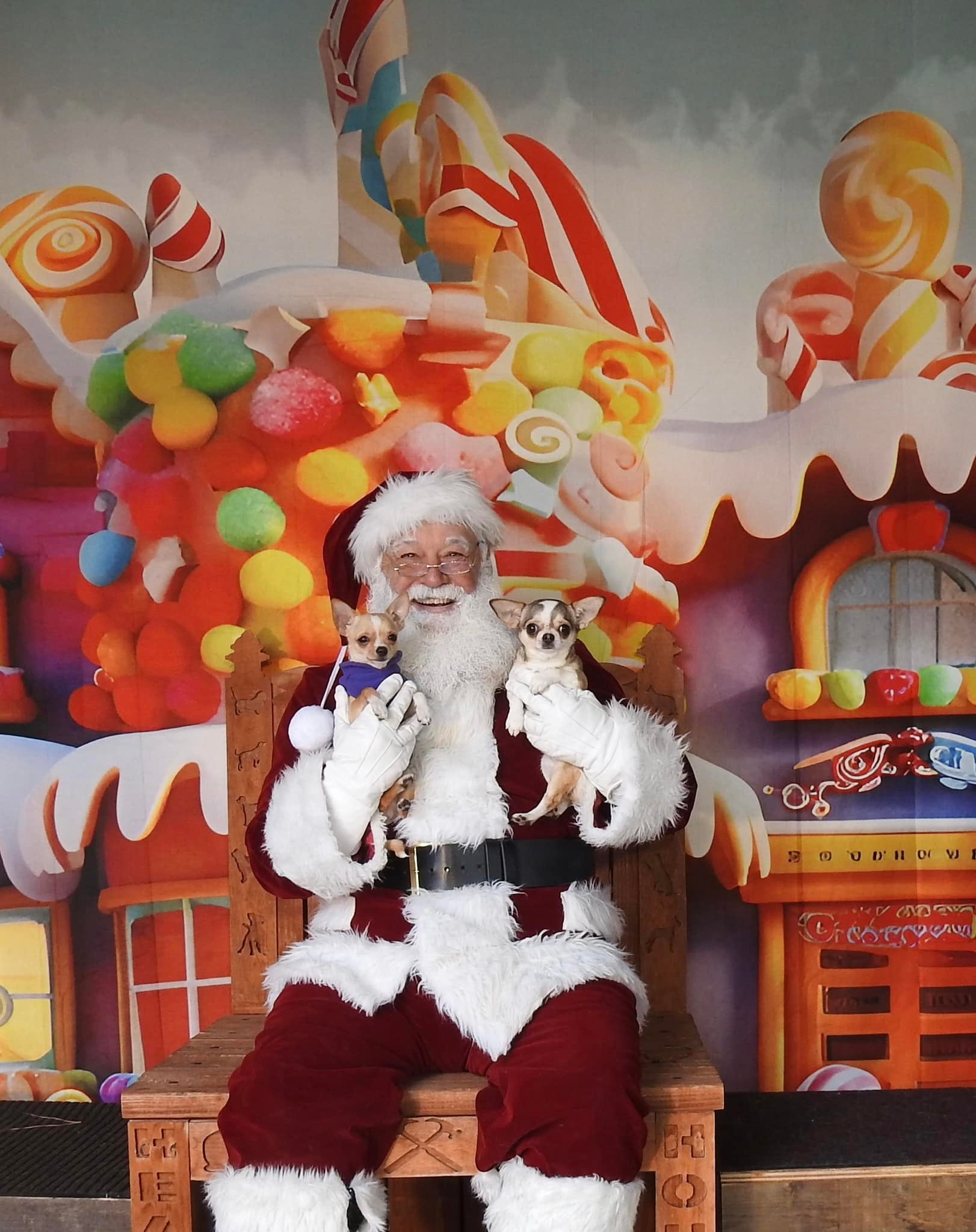 Cartoon Candy House Gingerbread Christmas Backdrop M9-38