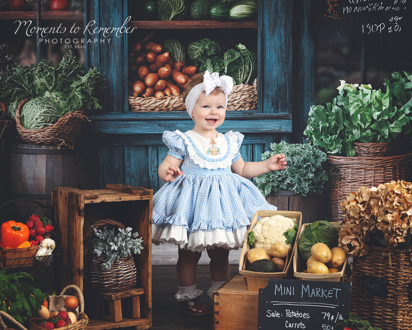 Spring Photography Backdrop Rustic Grocer Farm Window Backdrop LXX1-153