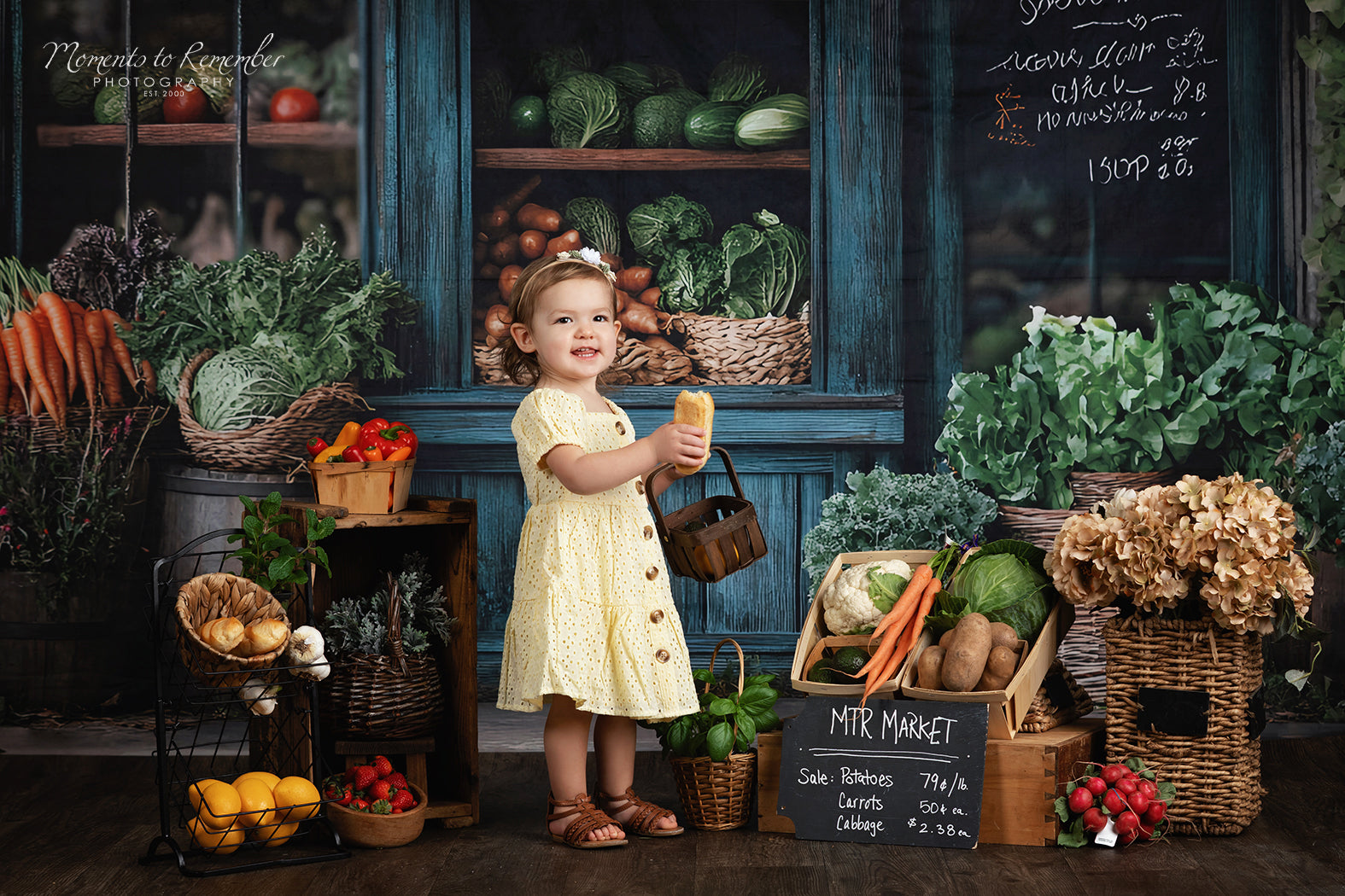 Spring Photography Backdrop Rustic Grocer Farm Window Backdrop LXX1-153
