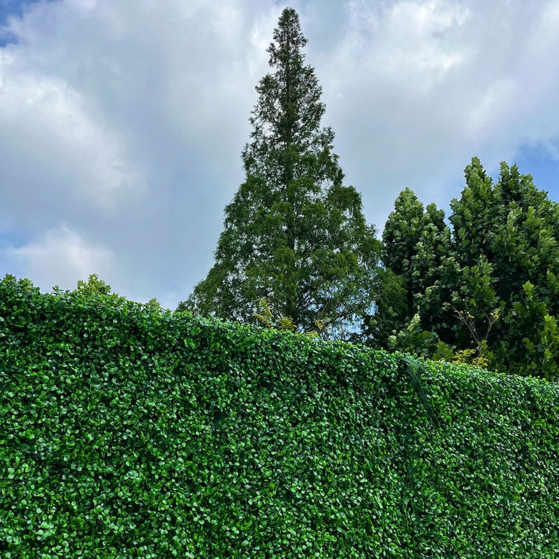 Artificial Greenery Wall Backdrop Boxwood Hedge Panel for Event Decor ABFW-030