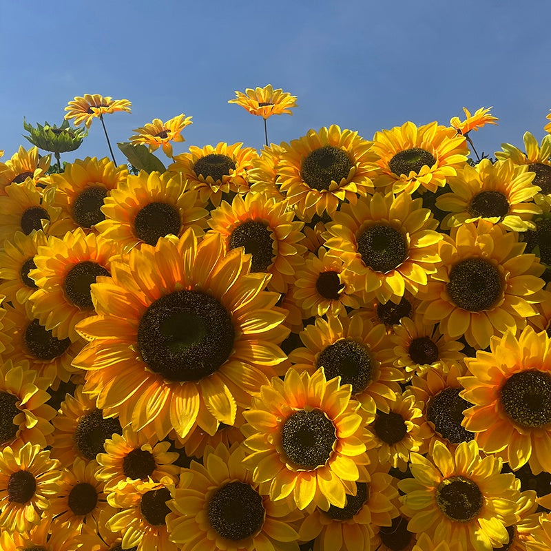 Summer Sunflower Floral Wall Backdrop For Event Party Decor ABFW-090