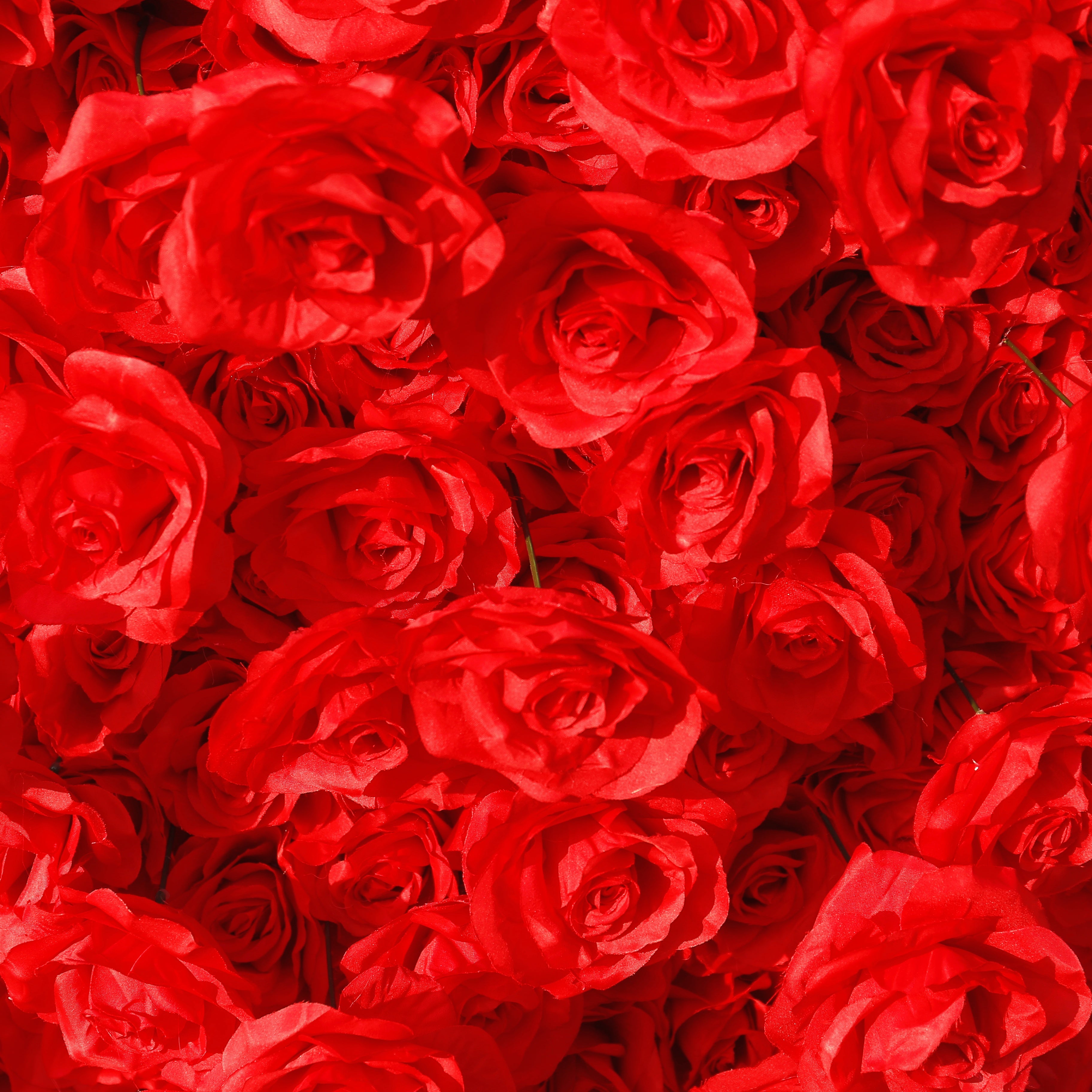 Red Fabric Rose Artificial Flower Wall Arch Wedding Party Decor ACAW-009