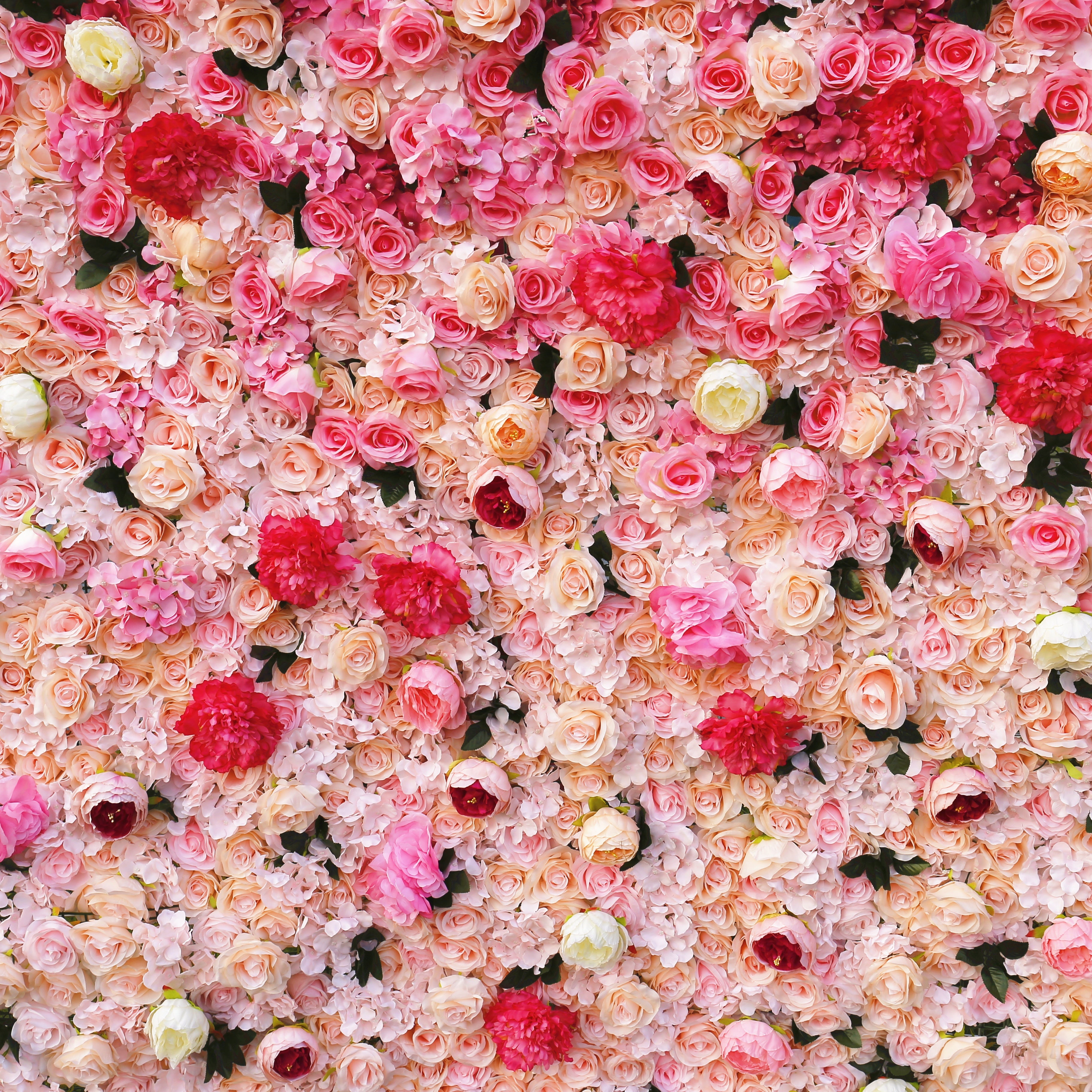 3D Pink Gradient Cloth Rose Flower Wall Wedding Event Decor ACFW-0006