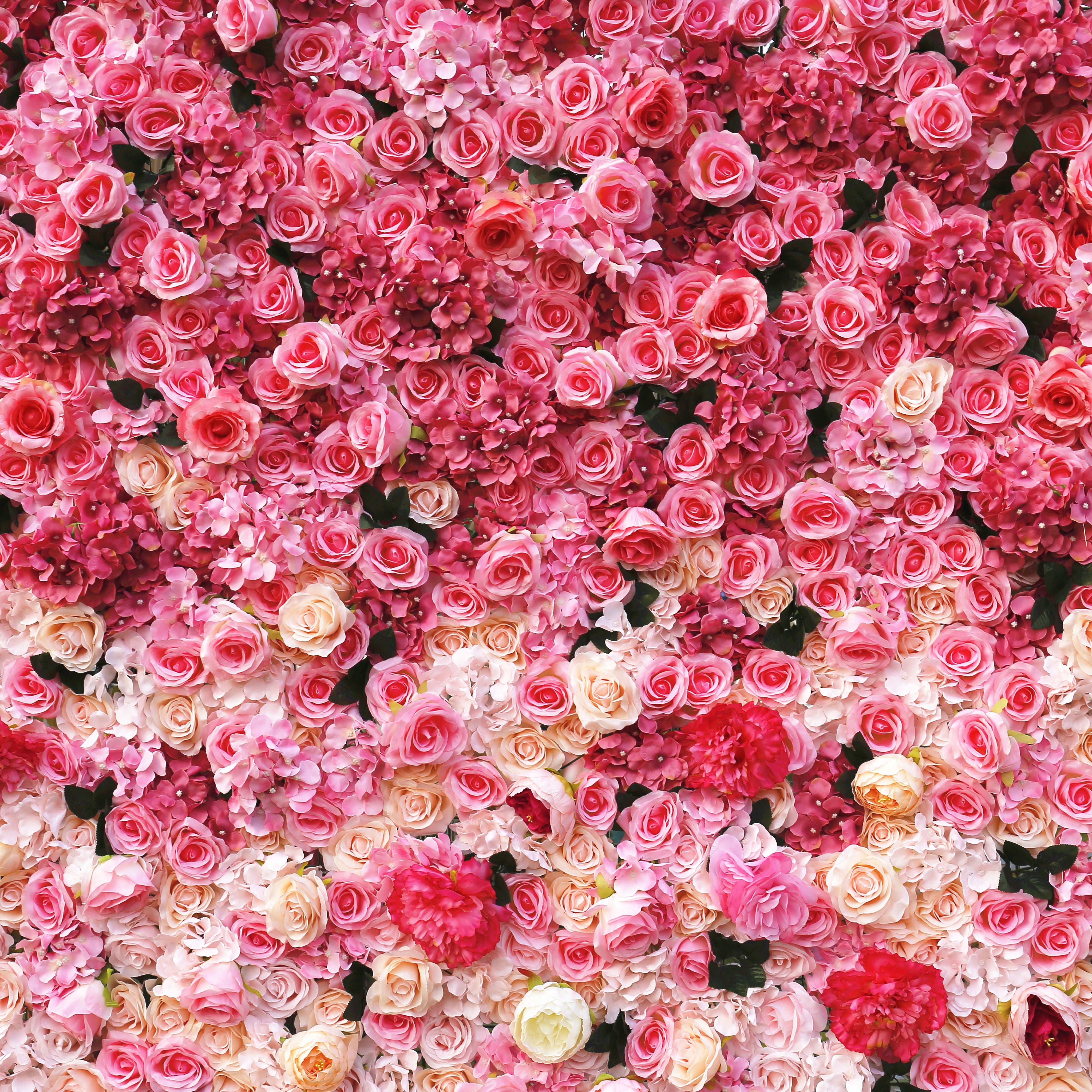 3D Pink Gradient Cloth Rose Flower Wall Wedding Event Decor ACFW-0006