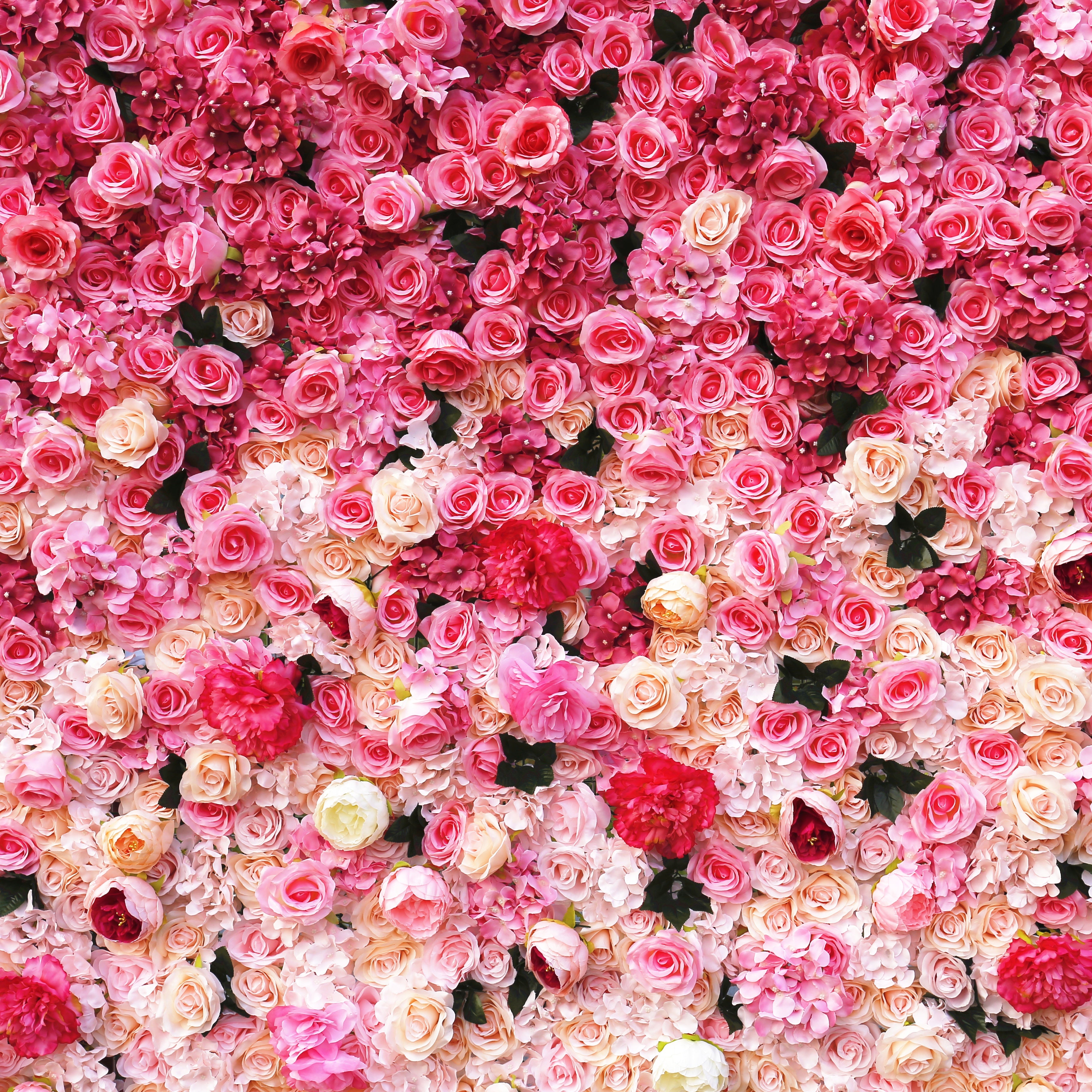 3D Pink Gradient Cloth Rose Flower Wall Wedding Event Decor ACFW-0006