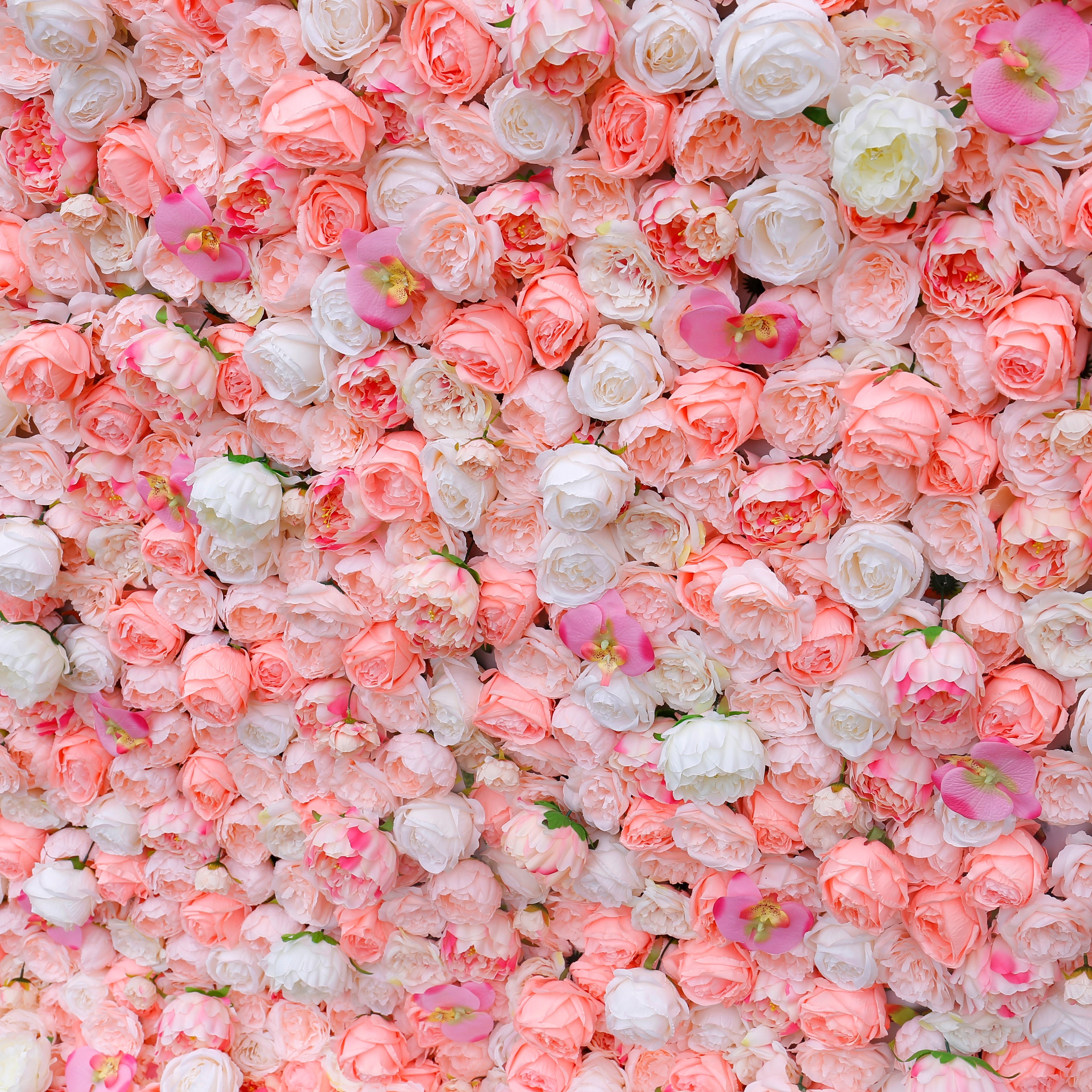 Premium Blush Pink Flower Wall Backdrop for Event Party Decor ACFW-019