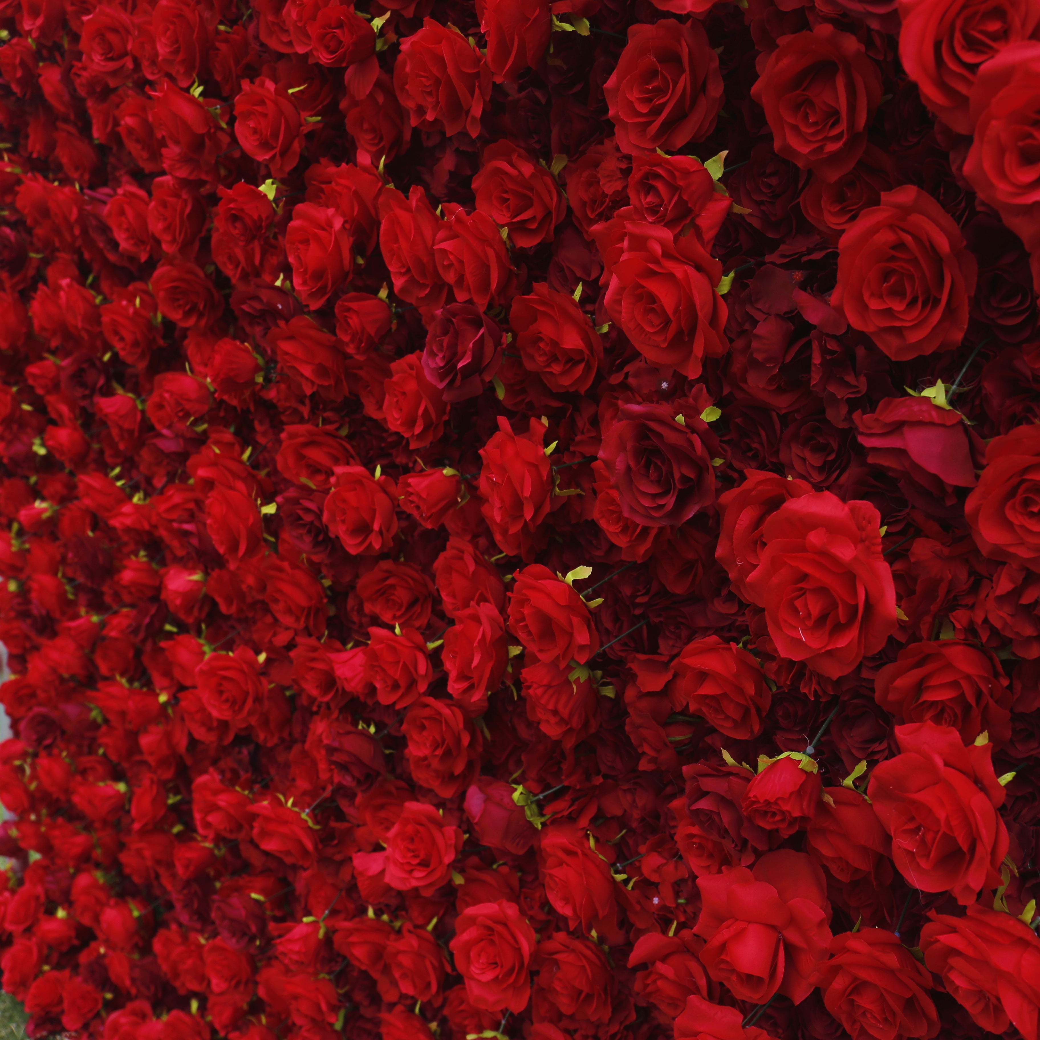 Full Red Fabric Roses Wedding Backdrop Roll Up Flower Wall ACFW-060