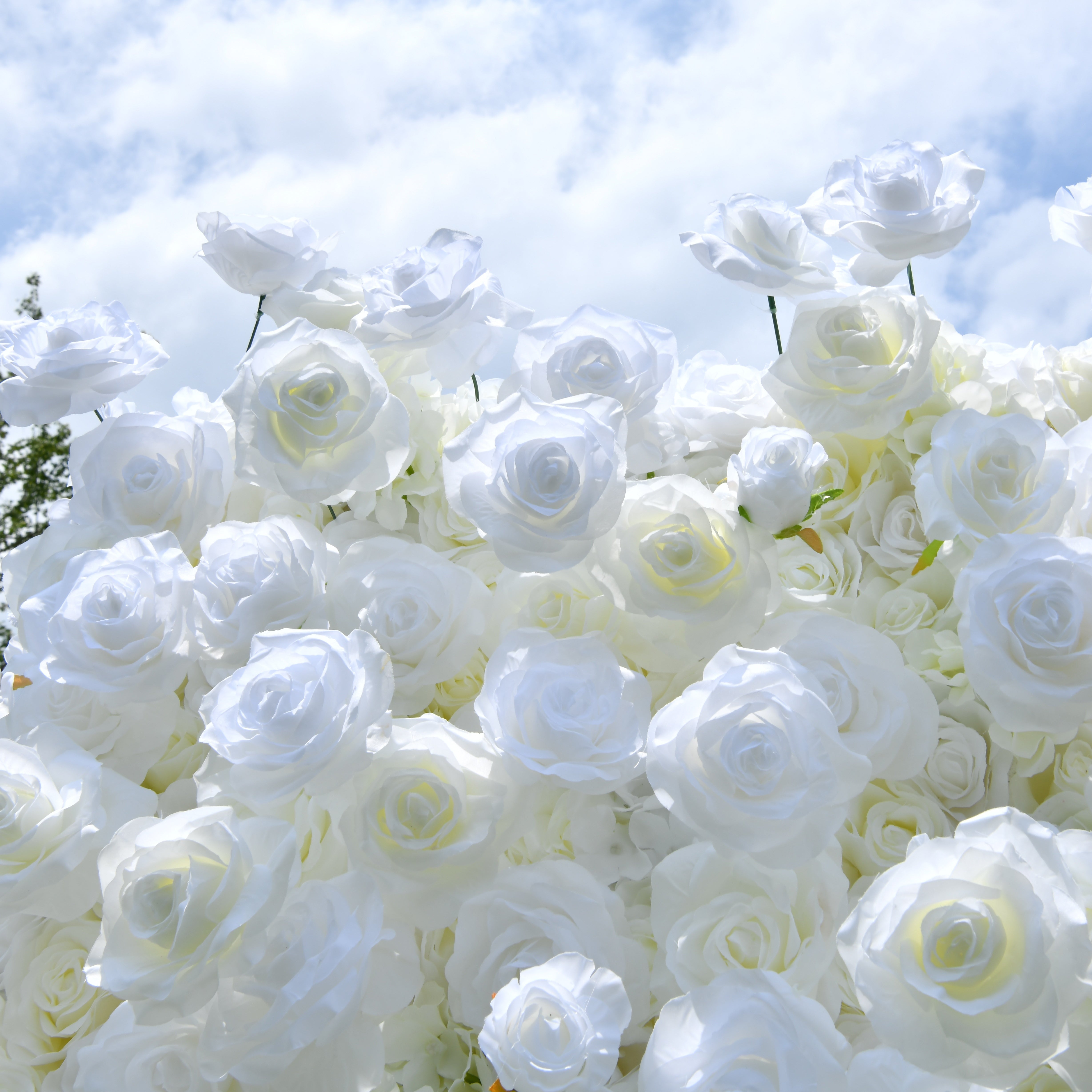 Pure White Fabric Roses Wedding Backdrop Roll Up Flower Wall ACFW-0601