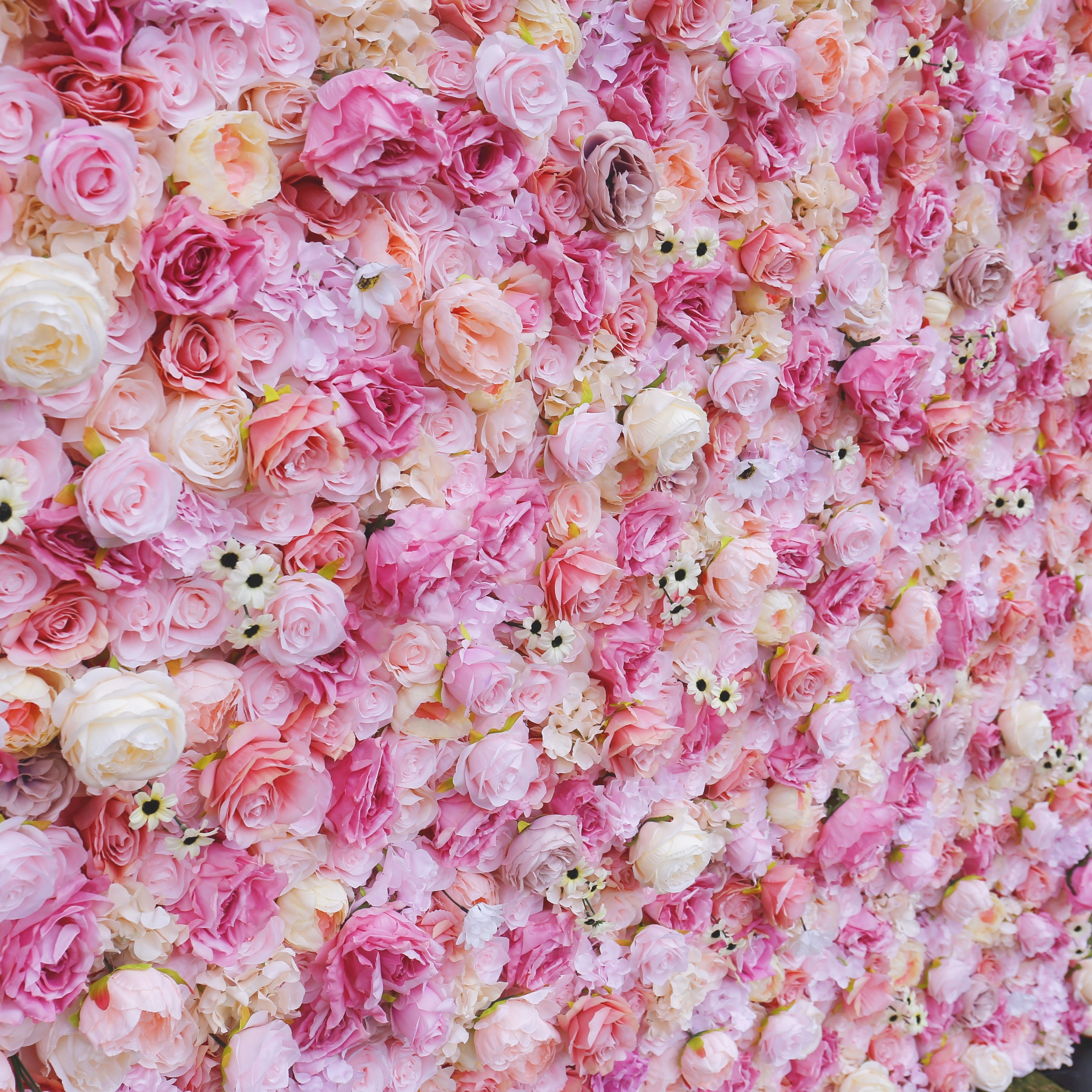 Blush Pink Silk Rose Wedding Backdrop Faux Roll Up Flower Wall ACFW-067