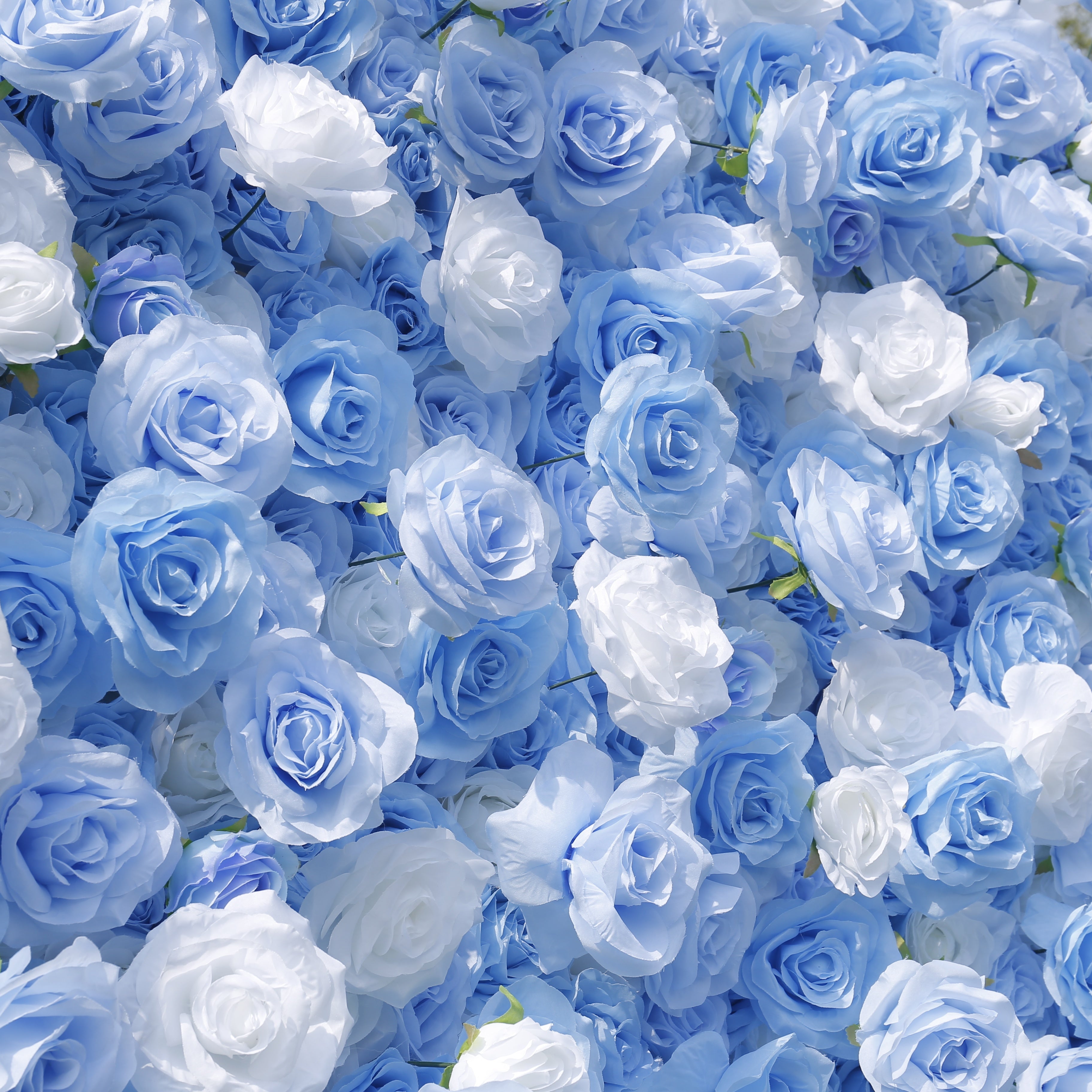 5D Baby Blue White Rose Flower Wall Backdrop For Wedding Decor ACFW-123