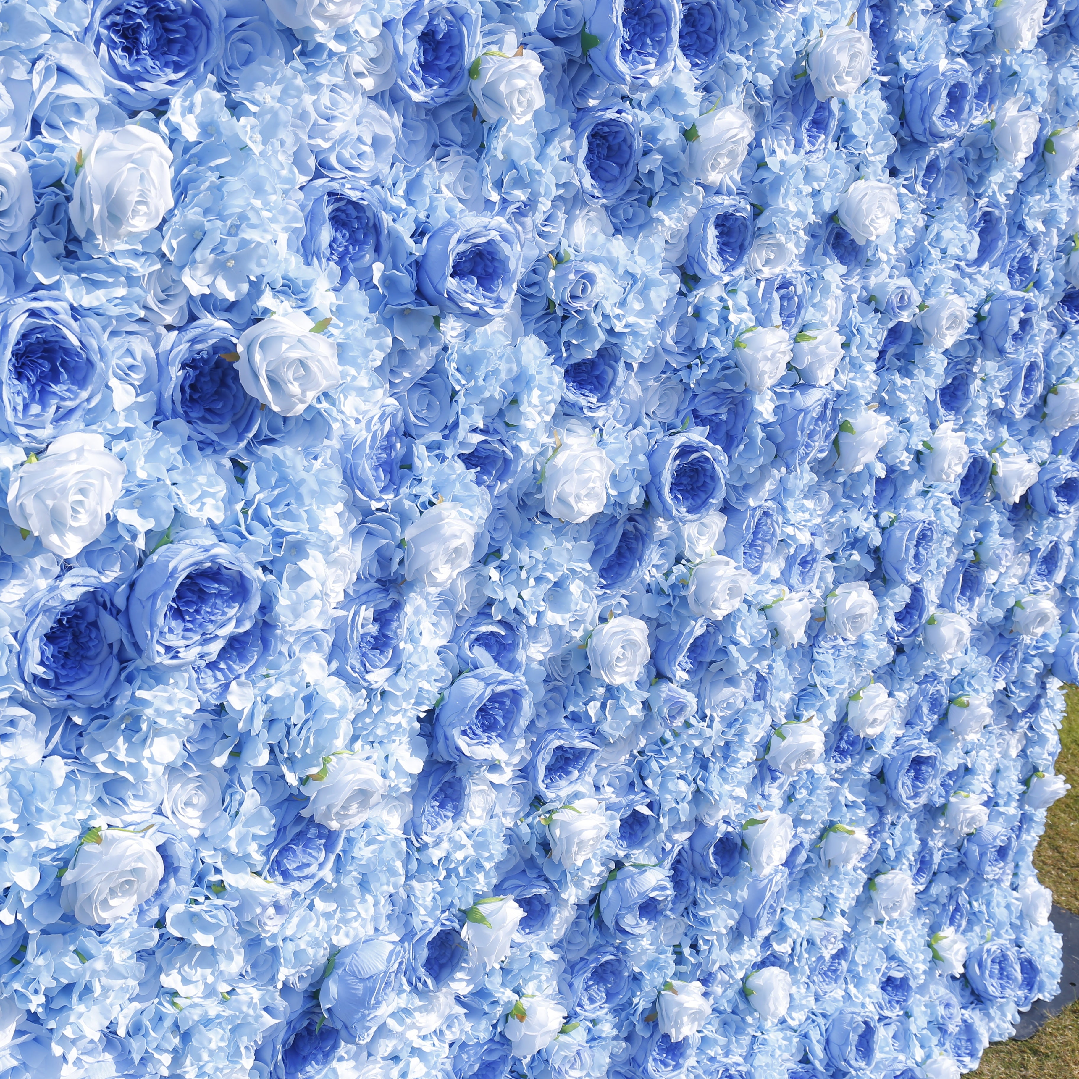 5D Light Blue Roses Rolling Up Artificial Flower Wall ACFW-137