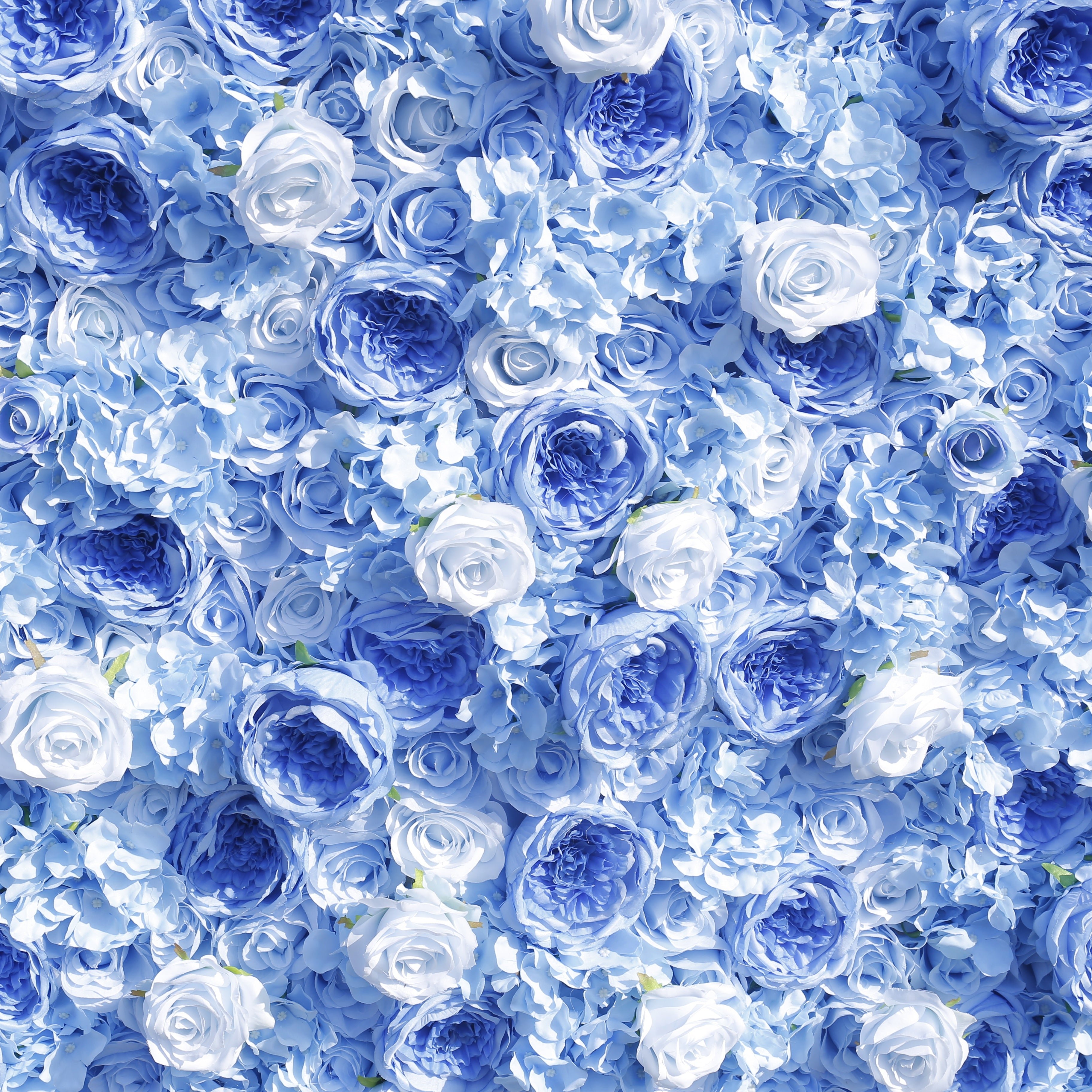 5D Light Blue Roses Rolling Up Artificial Flower Wall ACFW-137