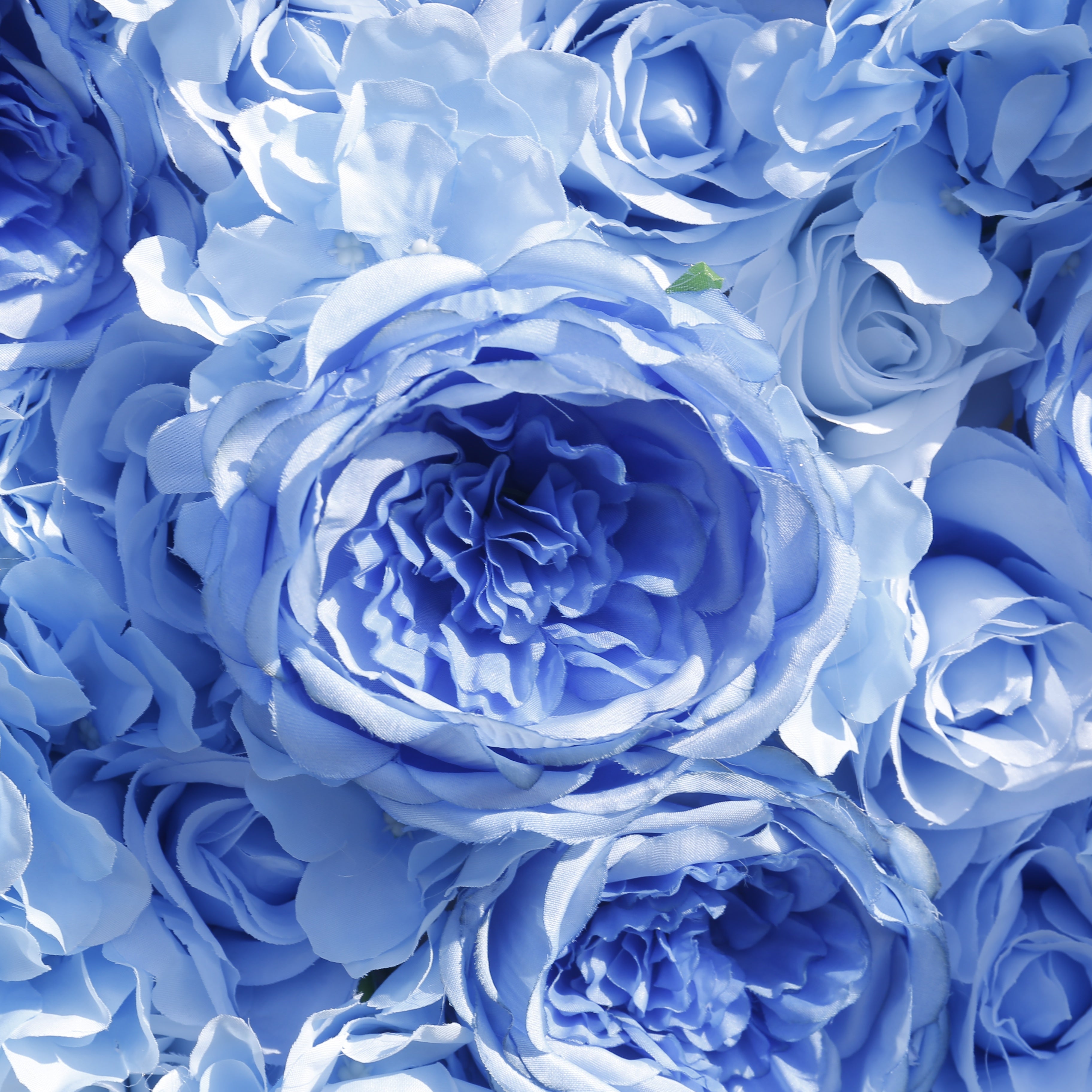5D Light Blue Roses Rolling Up Artificial Flower Wall ACFW-137