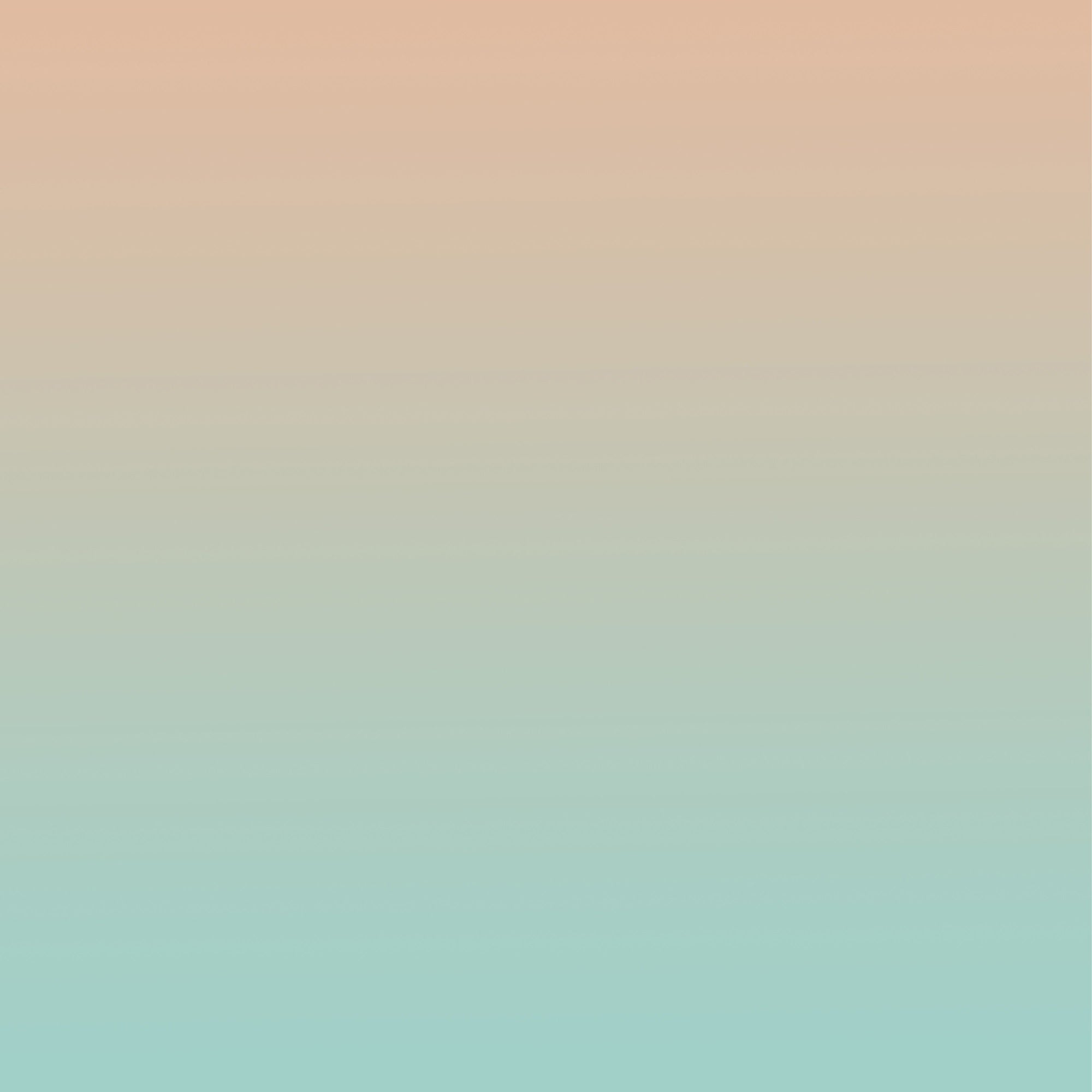 Portrait Photography Backdrop Gradient Blush Green Studio Backdrop BRP11-604