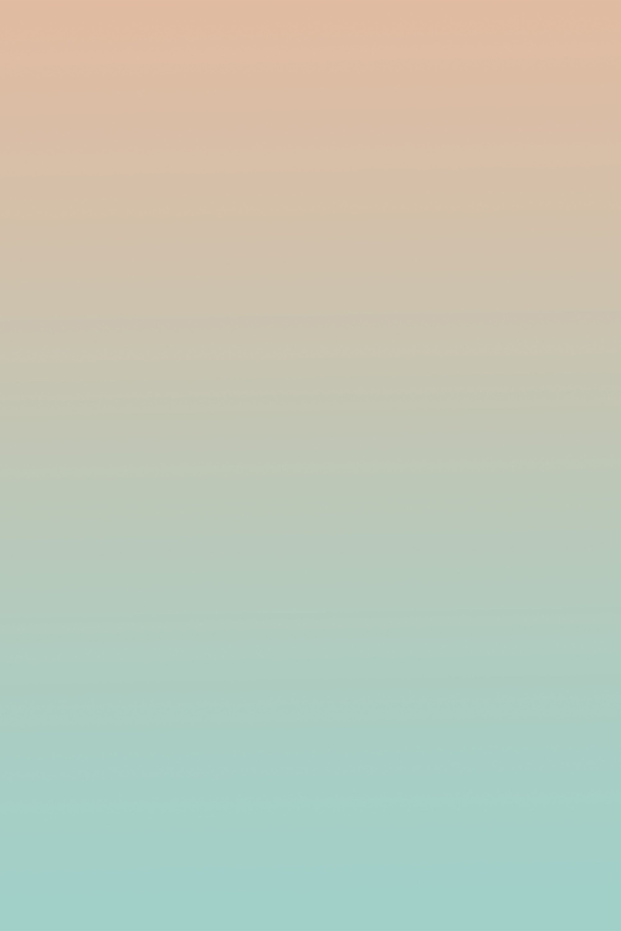 Portrait Photography Backdrop Gradient Blush Green Studio Backdrop BRP11-604