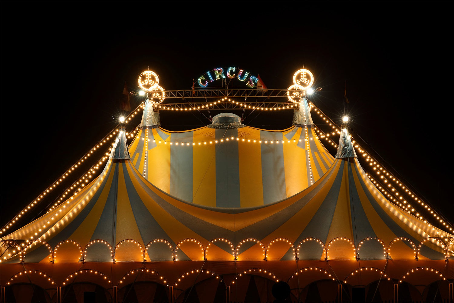 Circus Themed Backdrops Carnival Tent Starlit Backdrop BRP1-178
